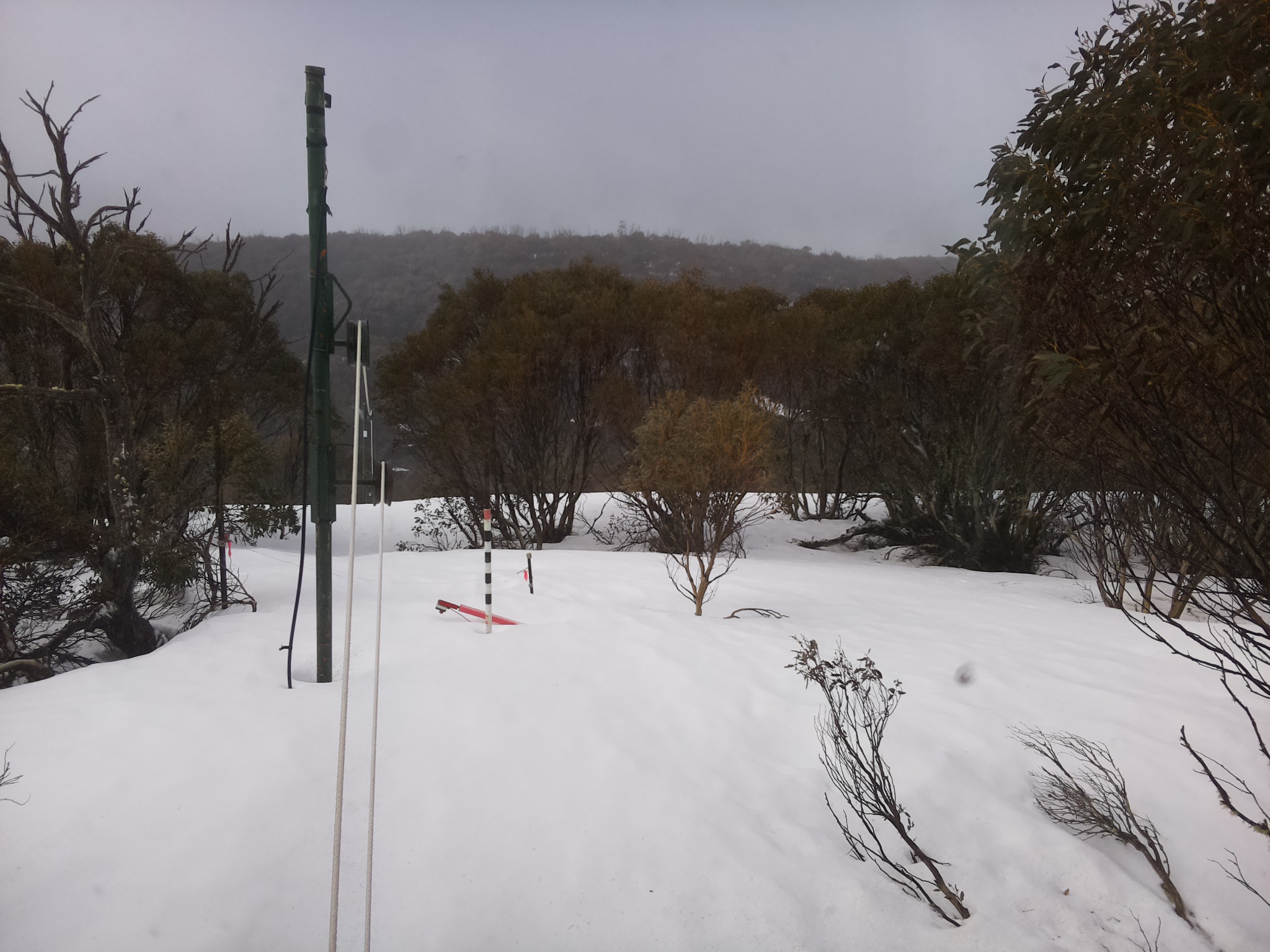 Bogong Web Cam 9:00am Sunday 21st of September 2025