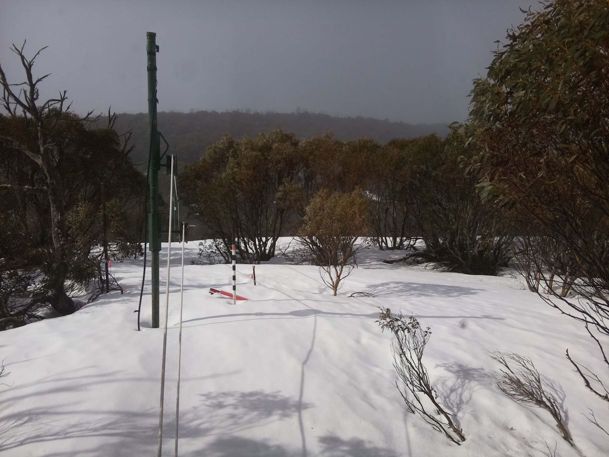 Bogong Web Cam 9:10am Sunday 21st of September 2025