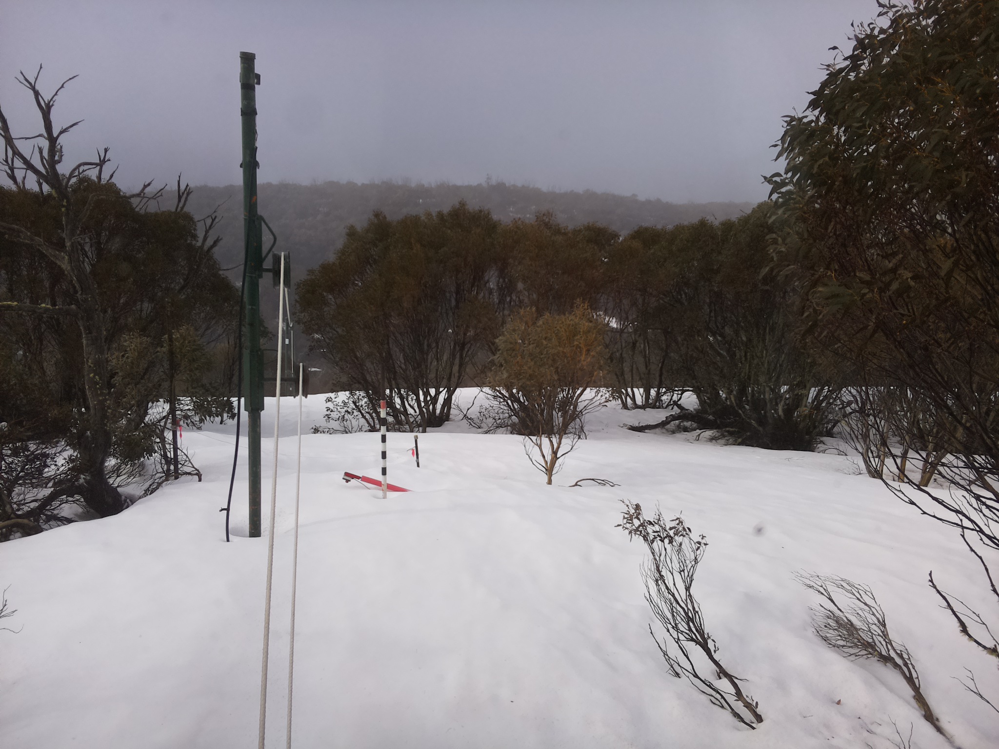 Bogong Web Cam 9:30am Sunday 21st of September 2025