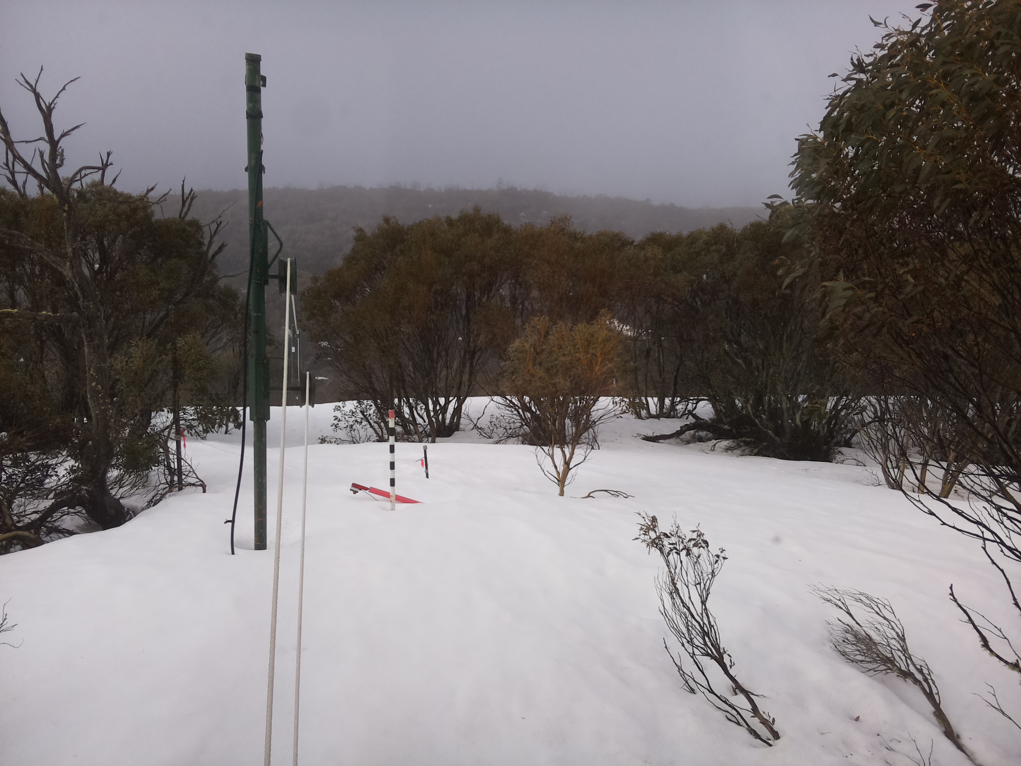 Bogong Web Cam 9:50am Sunday 21st of September 2025