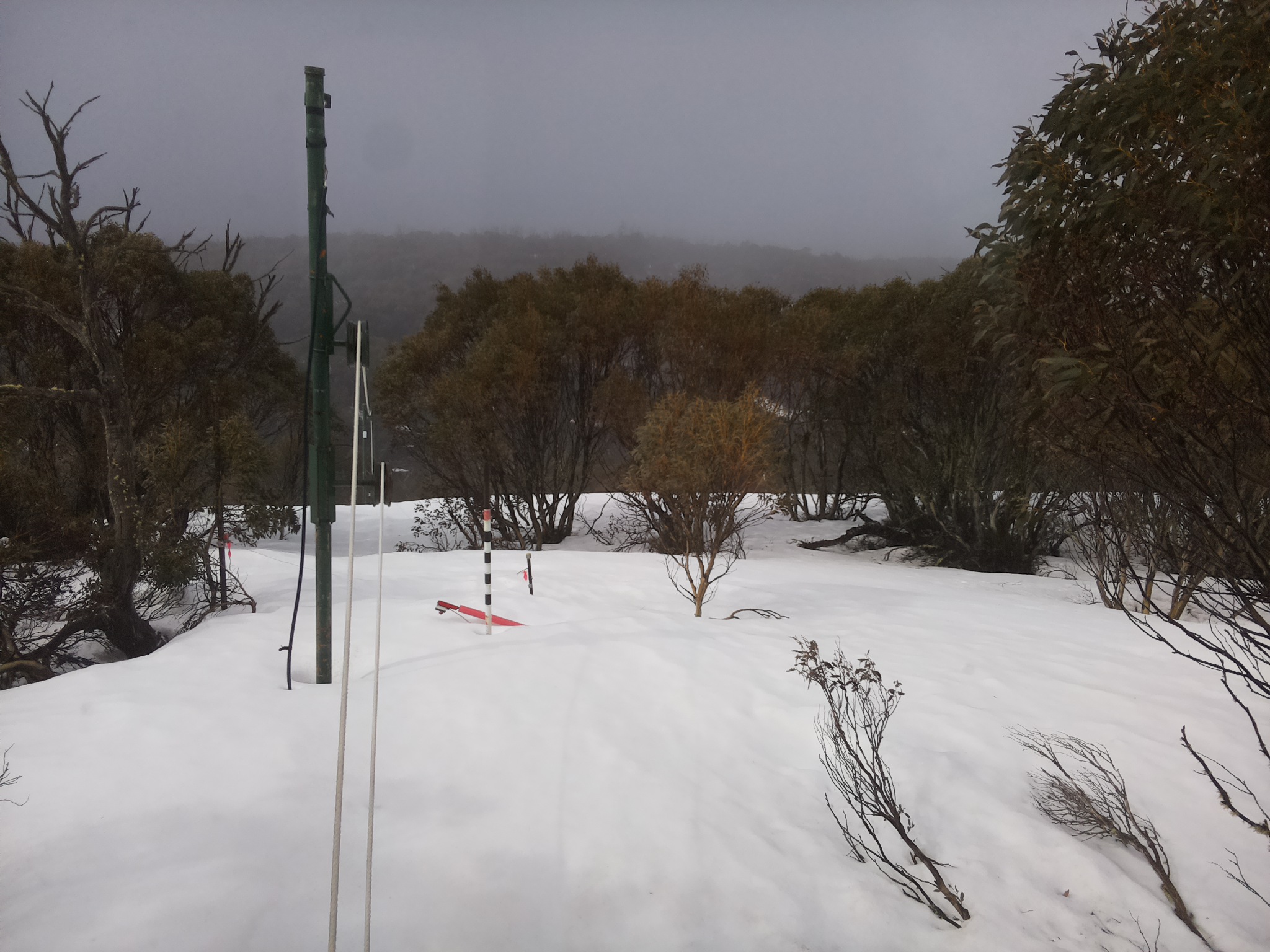 Bogong Web Cam 10:00am Sunday 21st of September 2025
