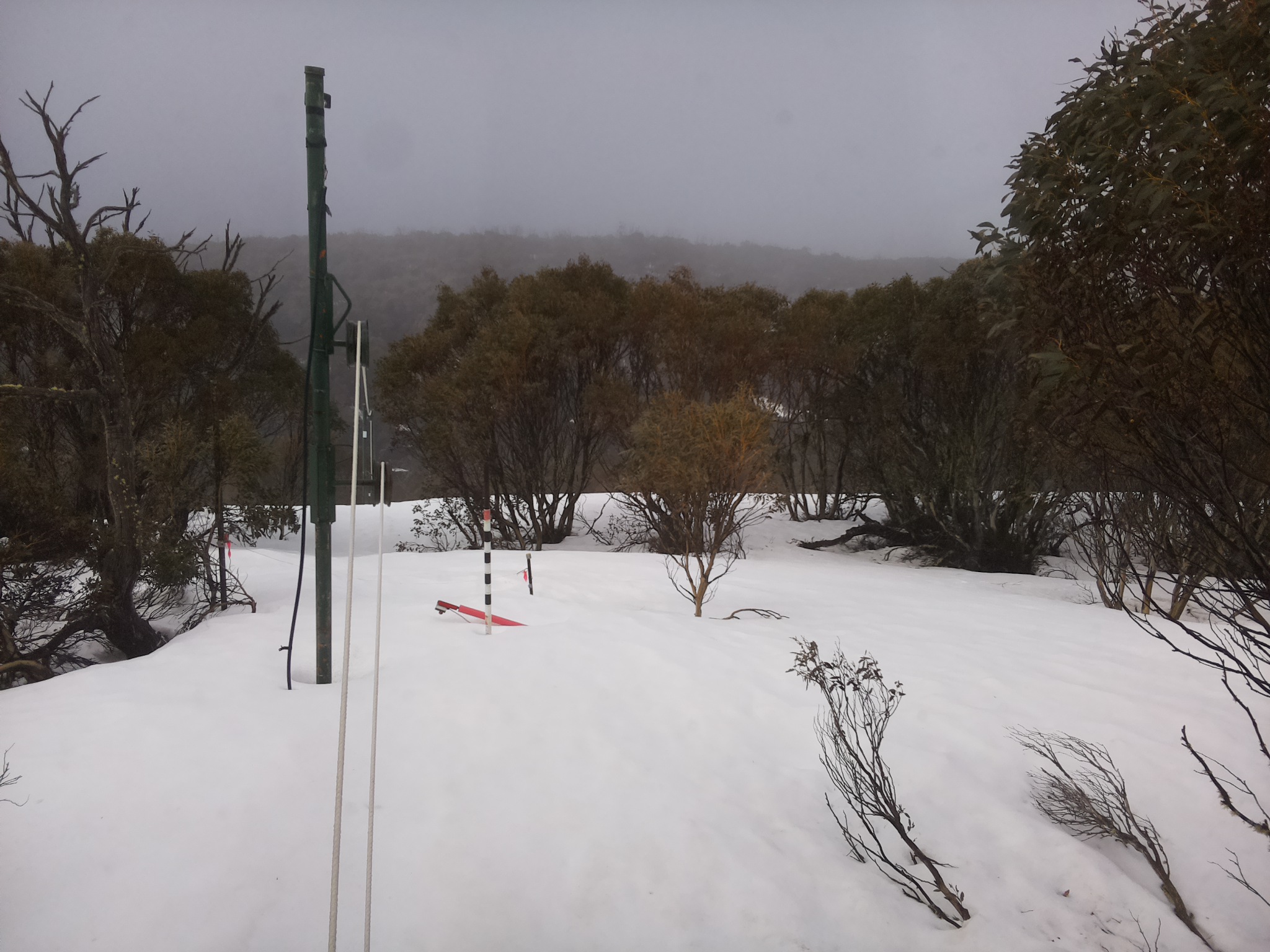 Bogong Web Cam 10:10am Sunday 21st of September 2025