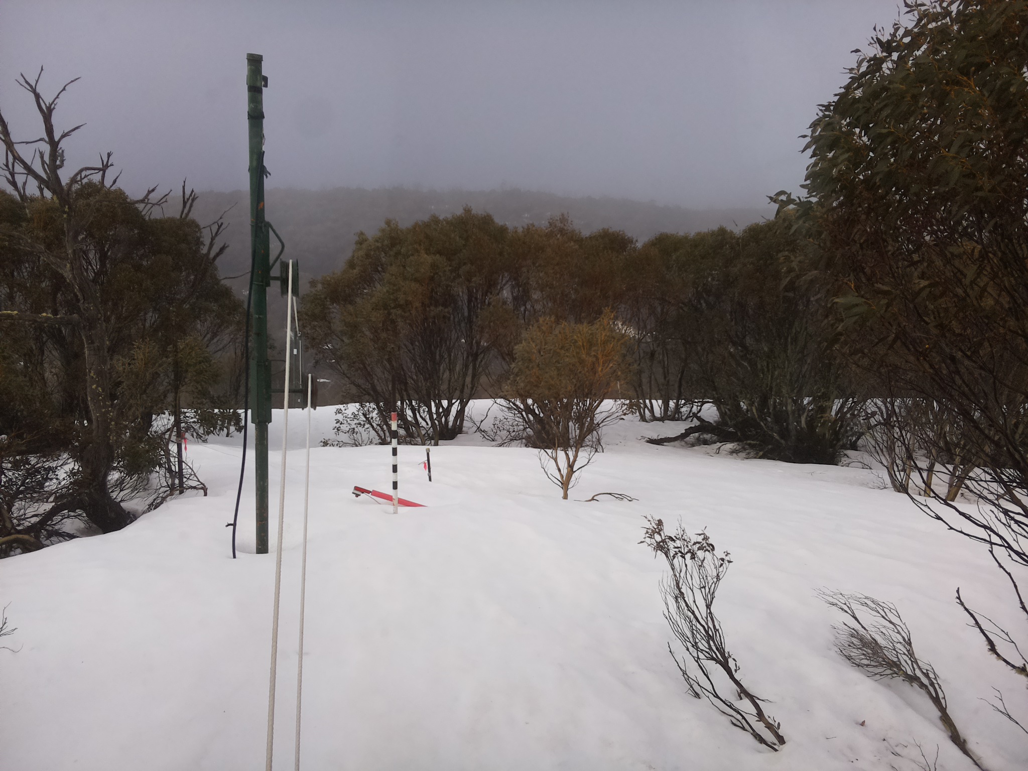 Bogong Web Cam 10:20am Sunday 21st of September 2025