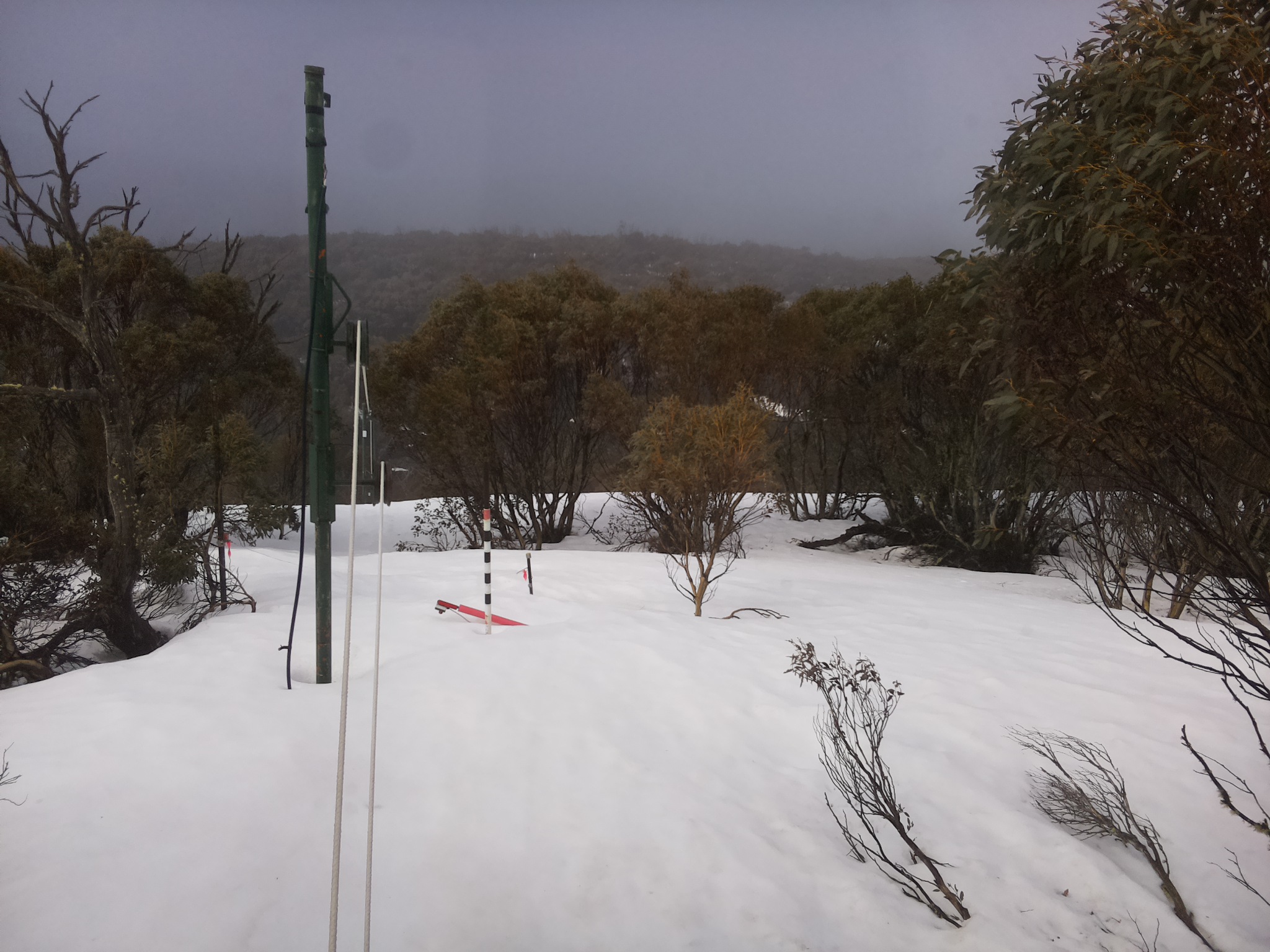 Bogong Web Cam 10:30am Sunday 21st of September 2025