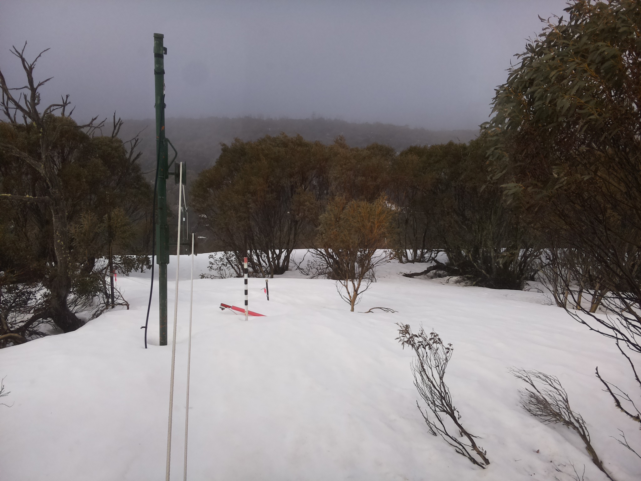 Bogong Web Cam 10:40am Sunday 21st of September 2025