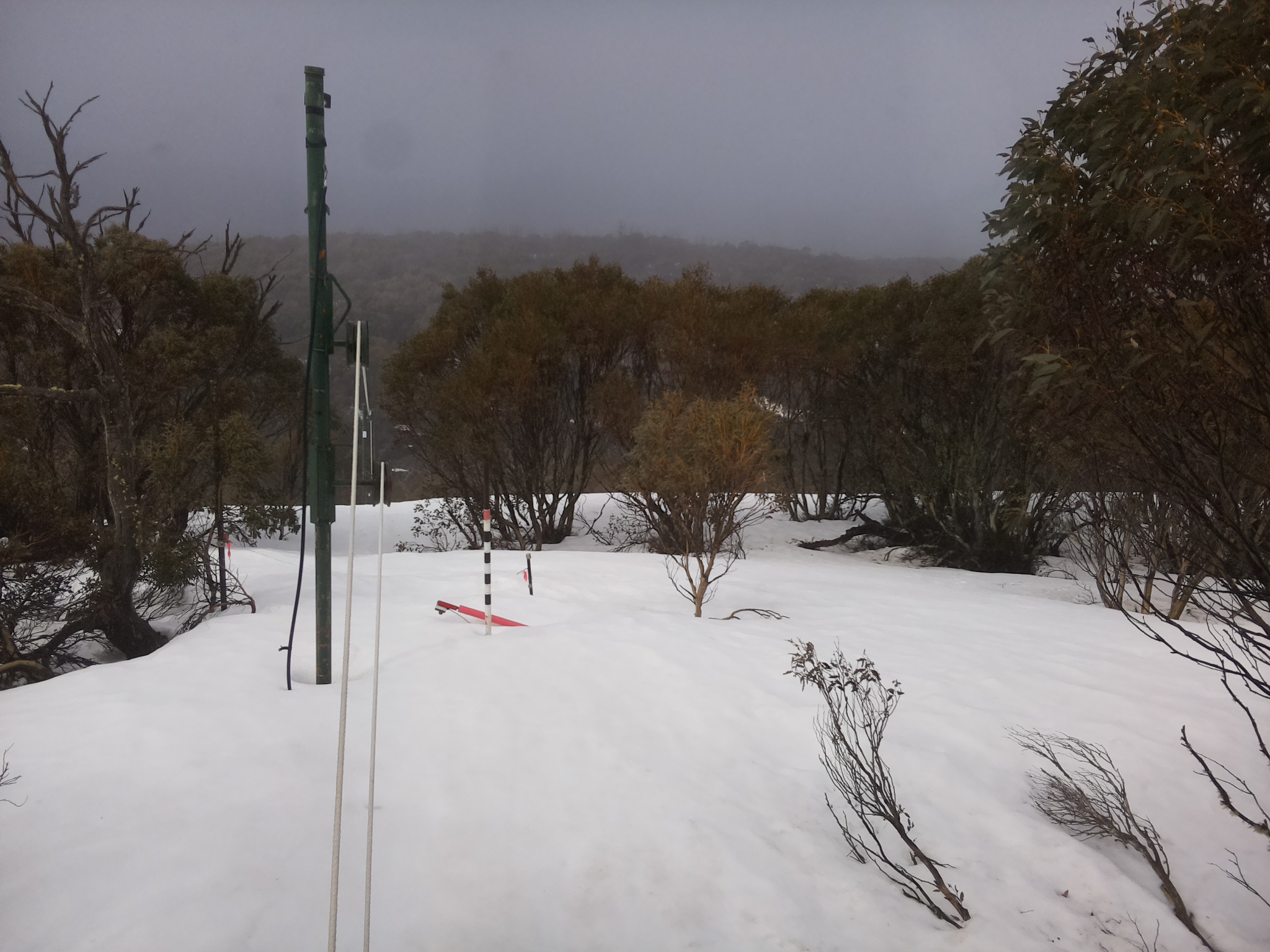 Bogong Web Cam 10:50am Sunday 21st of September 2025