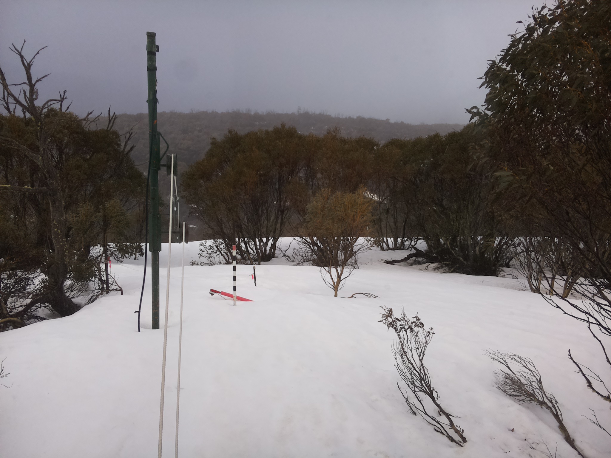 Bogong Web Cam 11:00am Sunday 21st of September 2025