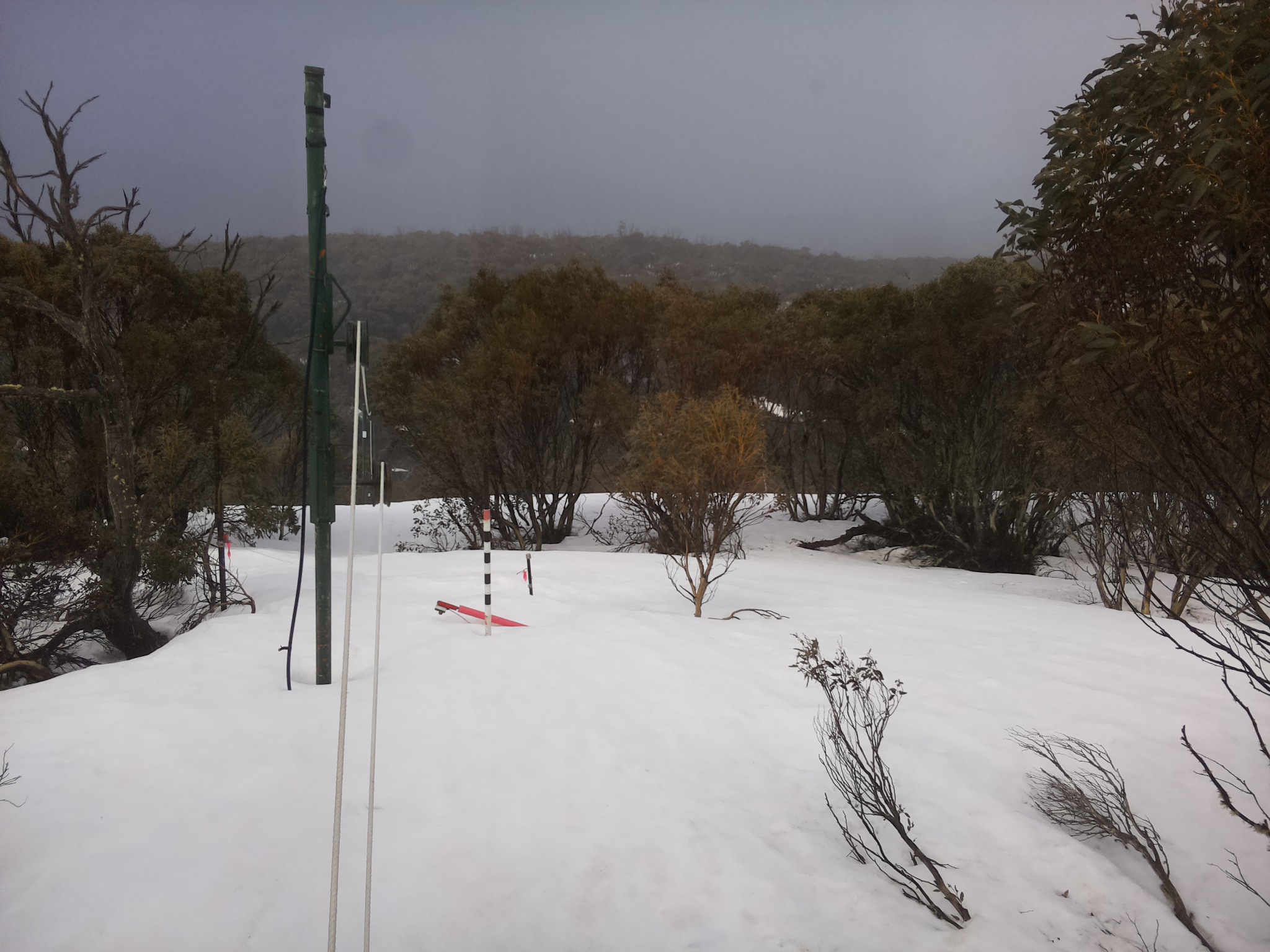 Bogong Web Cam 11:10am Sunday 21st of September 2025