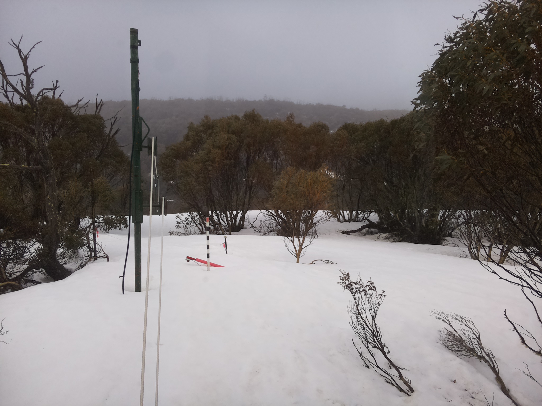 Bogong Web Cam 11:20am Sunday 21st of September 2025