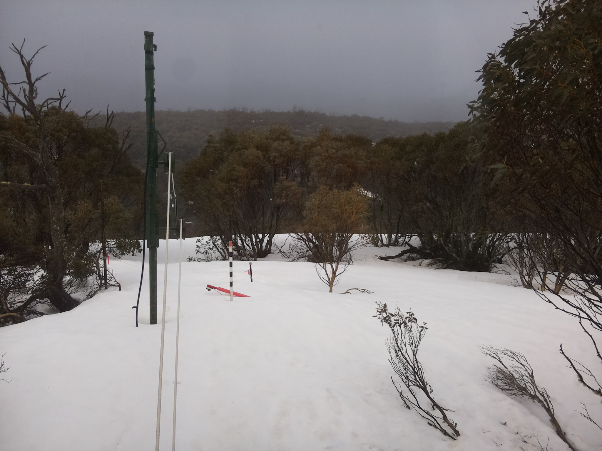 Bogong Web Cam 11:30am Sunday 21st of September 2025