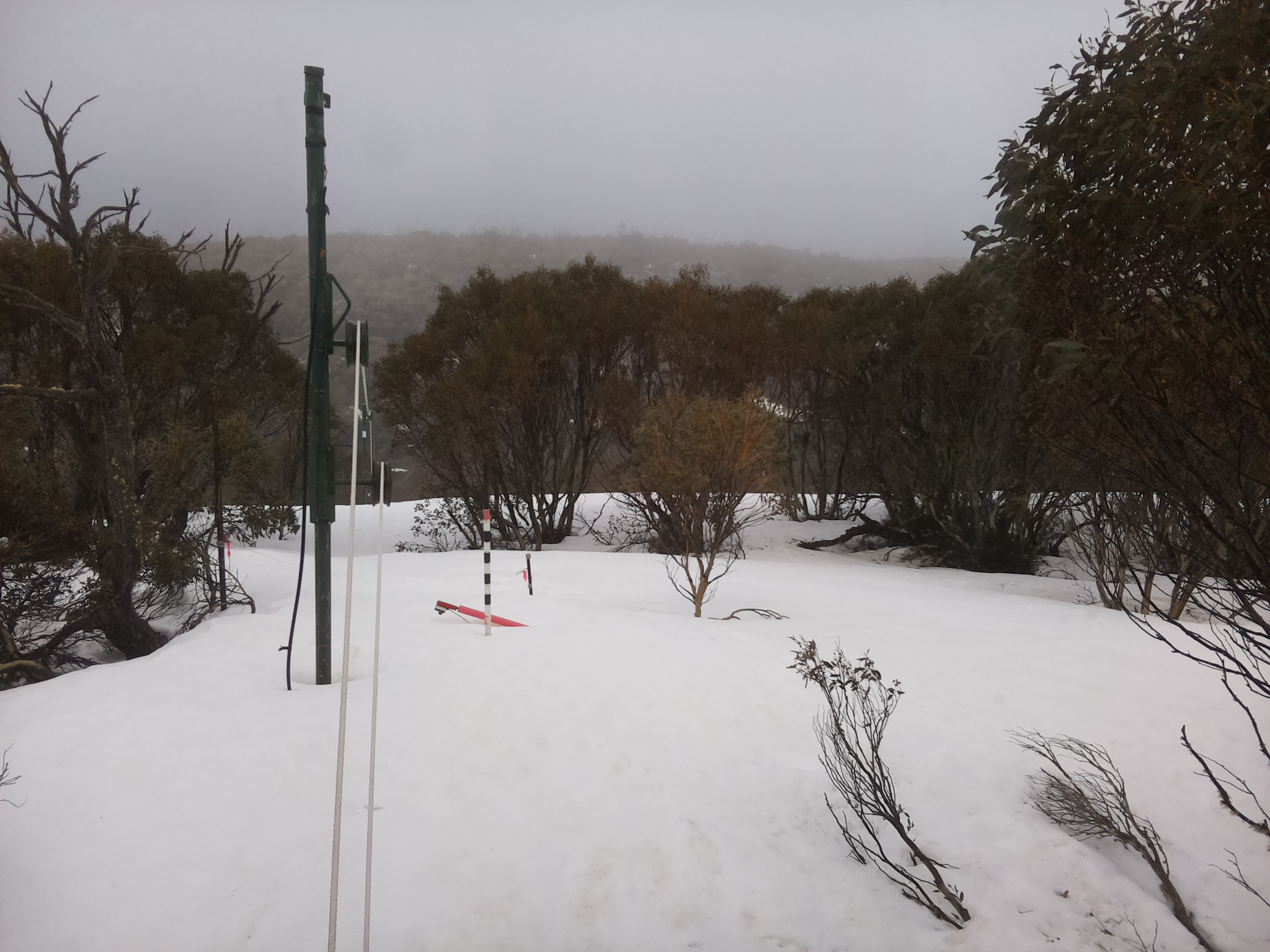 Bogong Web Cam 11:40am Sunday 21st of September 2025