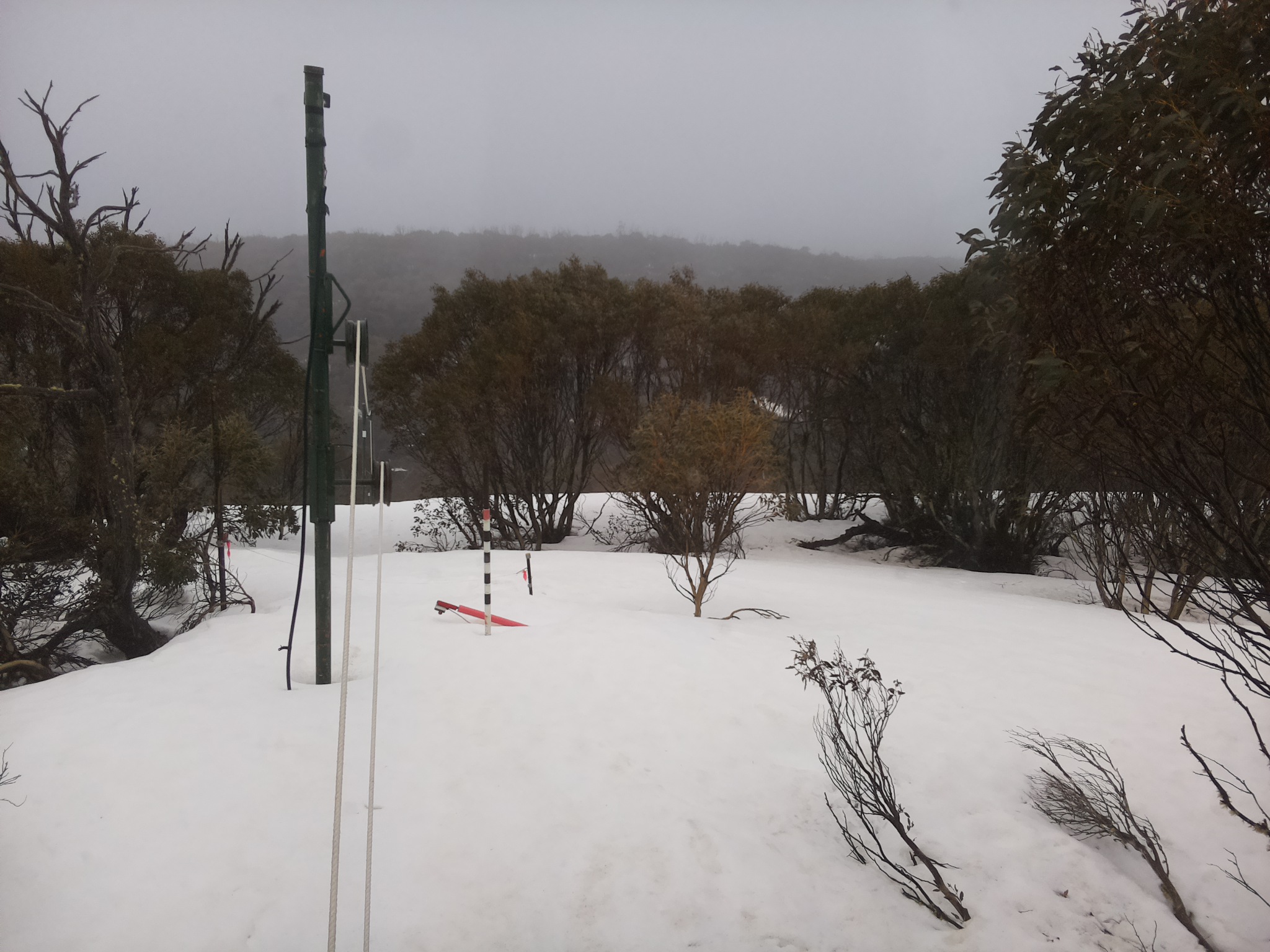 Bogong Web Cam 11:50am Sunday 21st of September 2025
