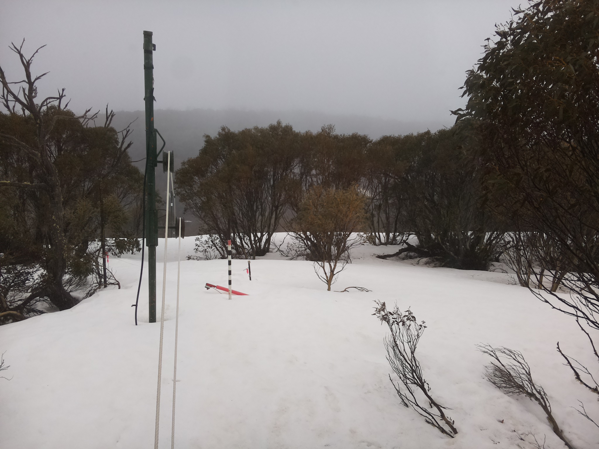 Bogong Web Cam 12:00pm Sunday 21st of September 2025