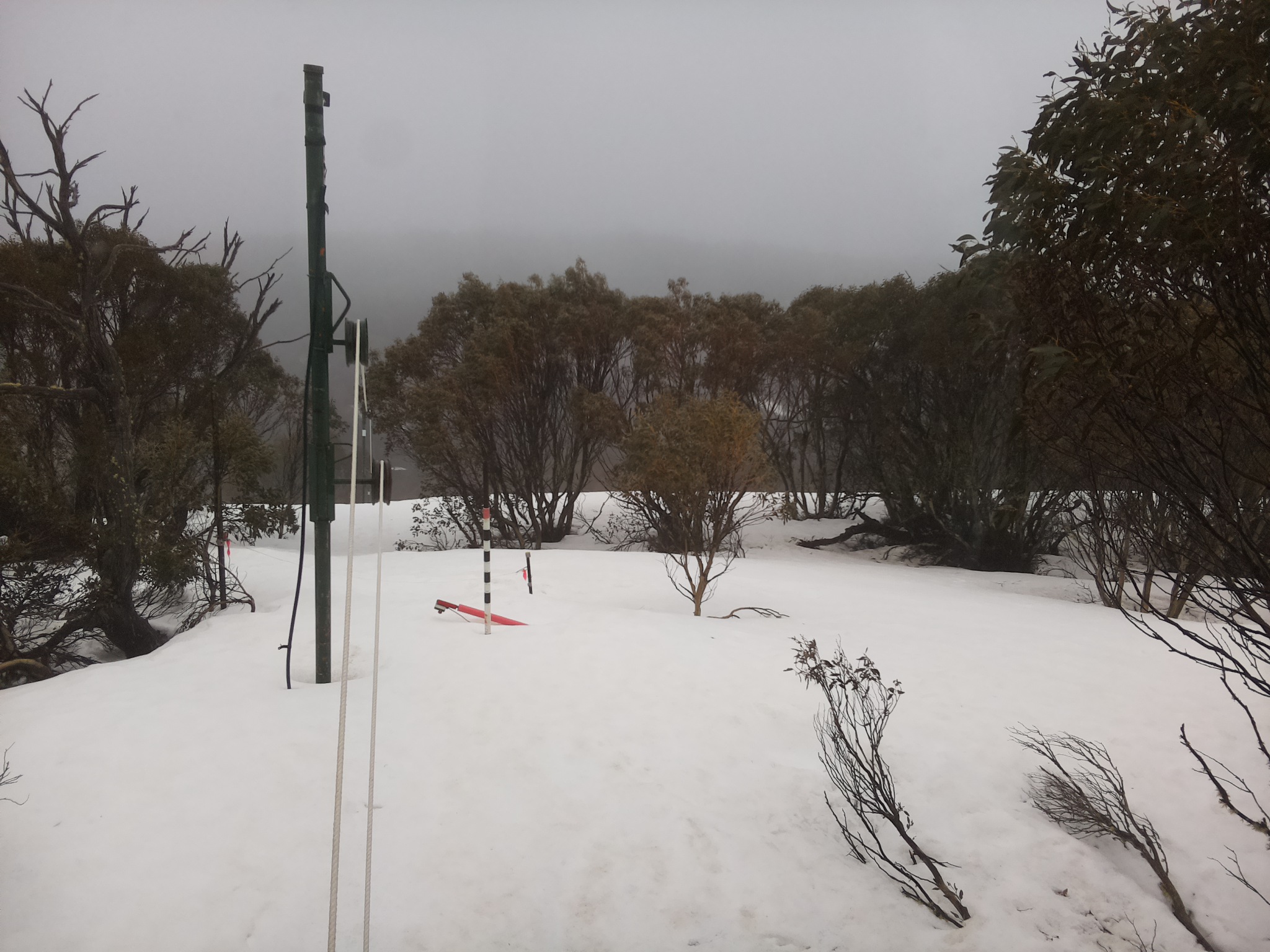 Bogong Web Cam 12:40pm Sunday 21st of September 2025
