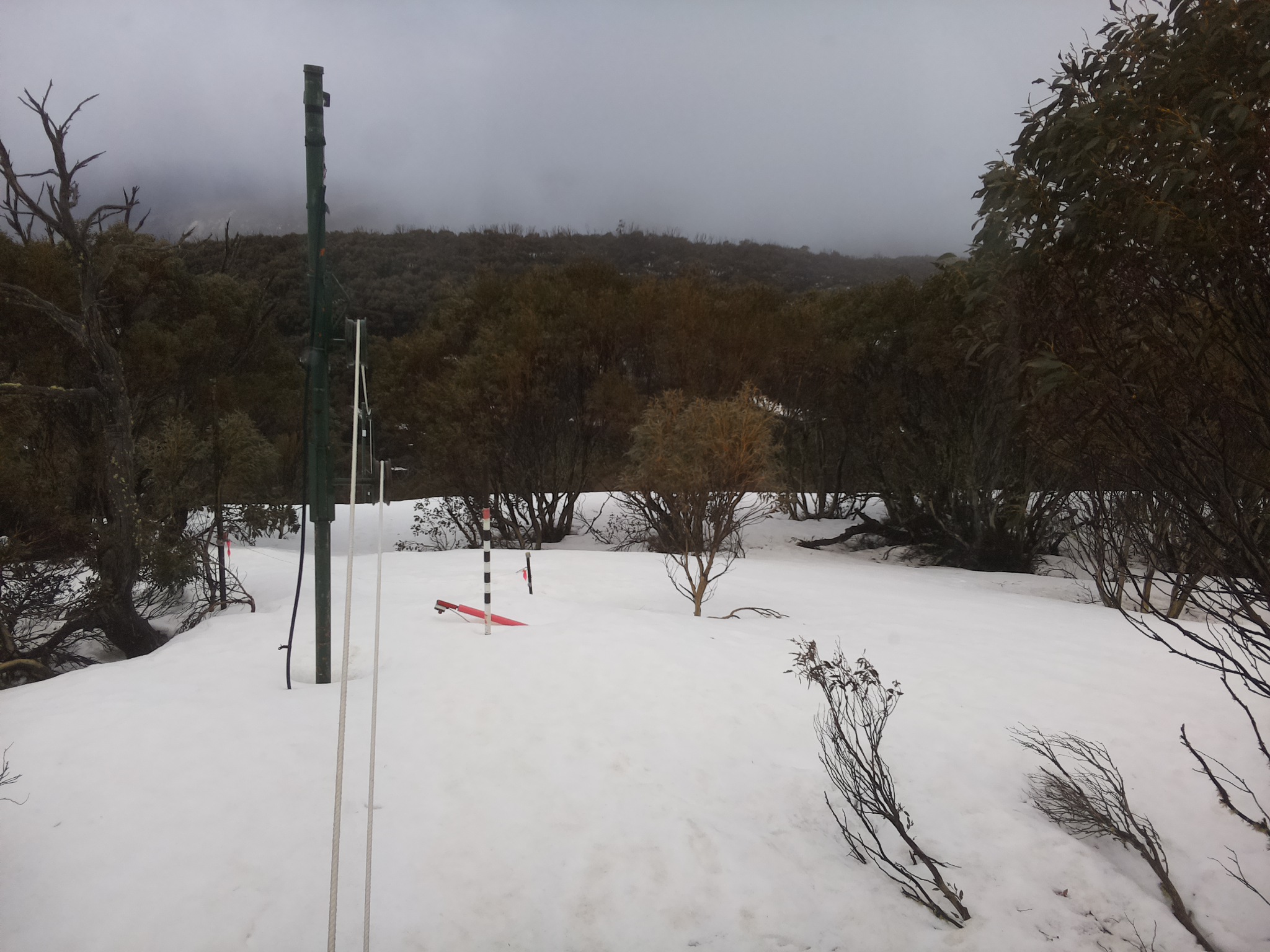 Bogong Web Cam 12:50pm Sunday 21st of September 2025