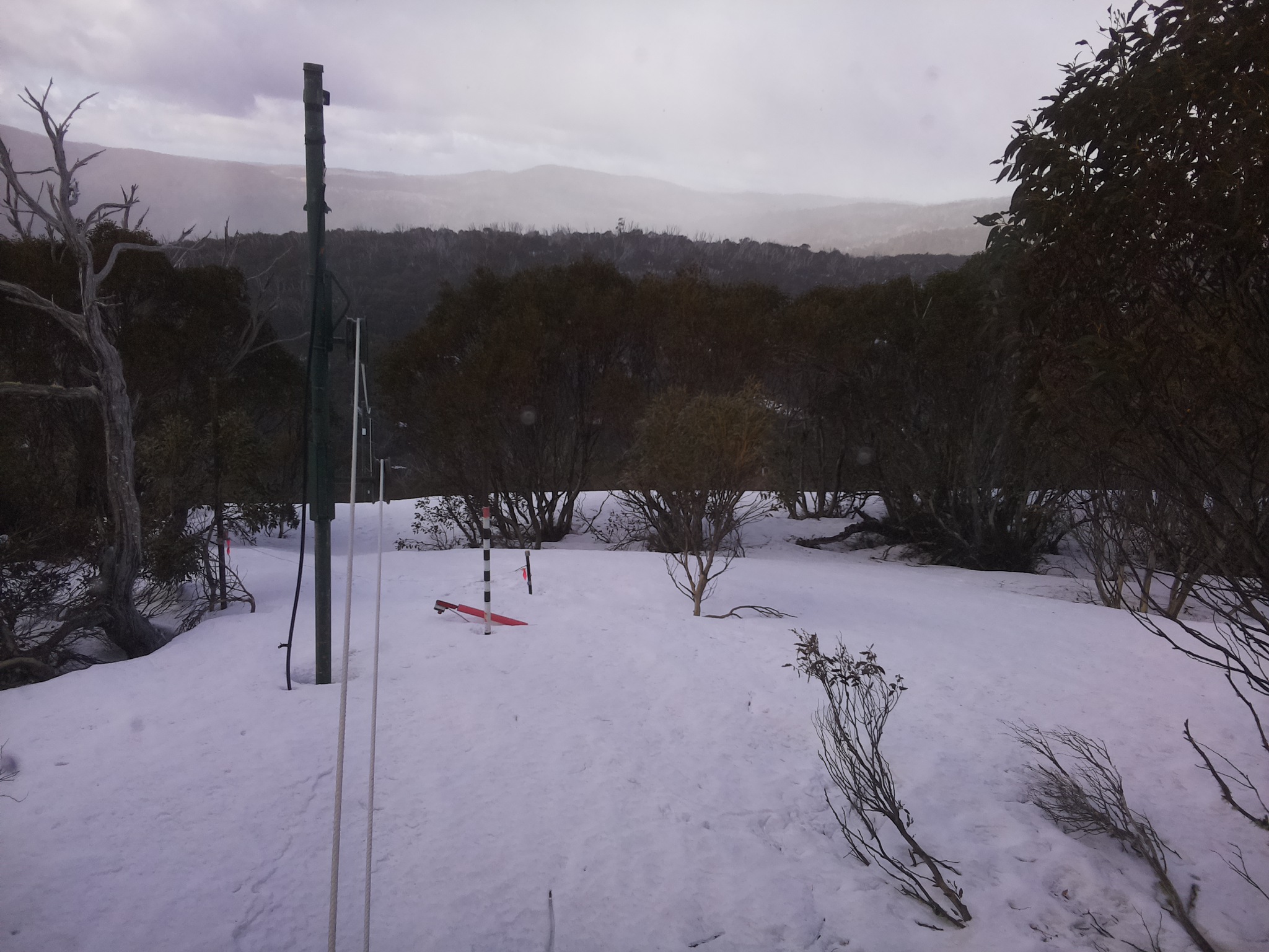 Bogong Web Cam 10:00am Monday 22nd of September 2025