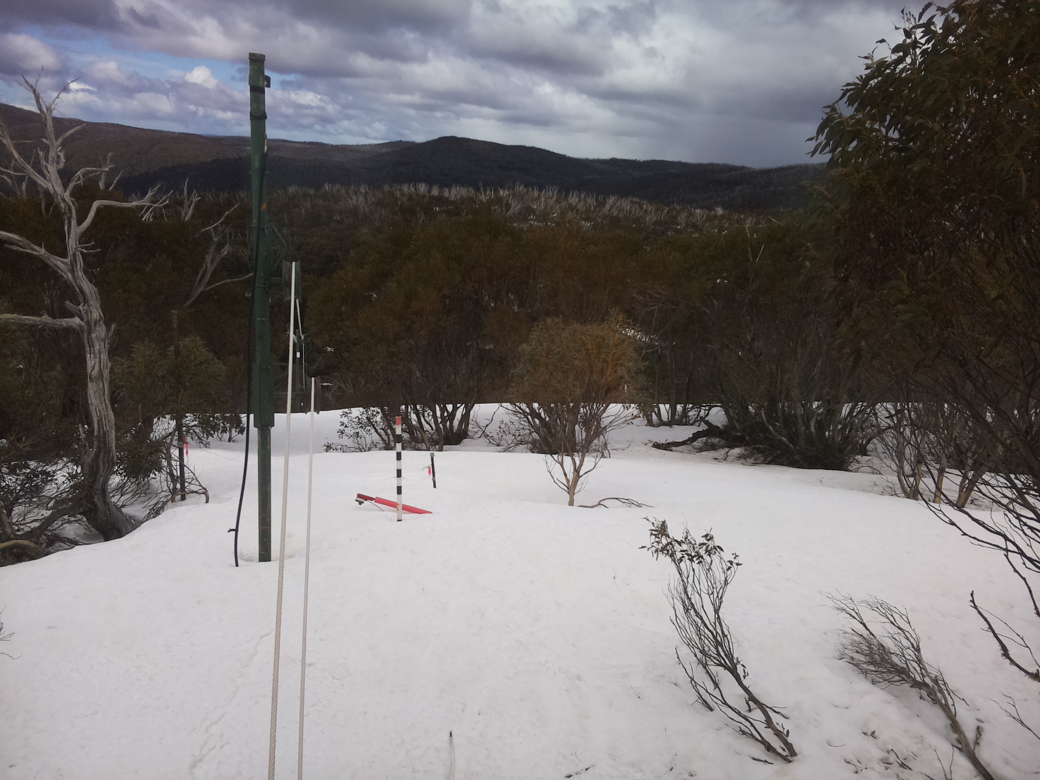 Bogong Web Cam 11:20am Monday 22nd of September 2025