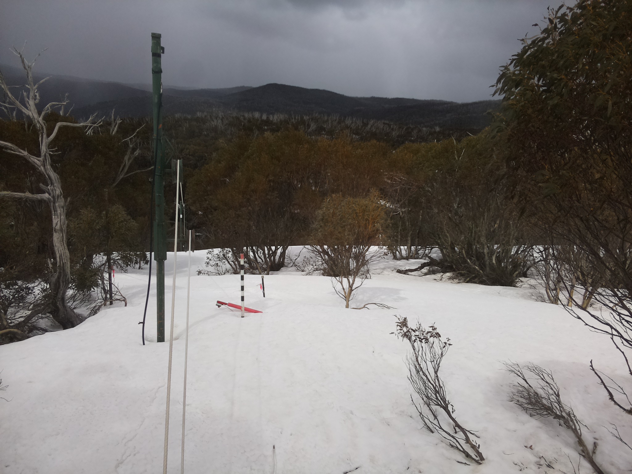 Bogong Web Cam 11:40am Monday 22nd of September 2025