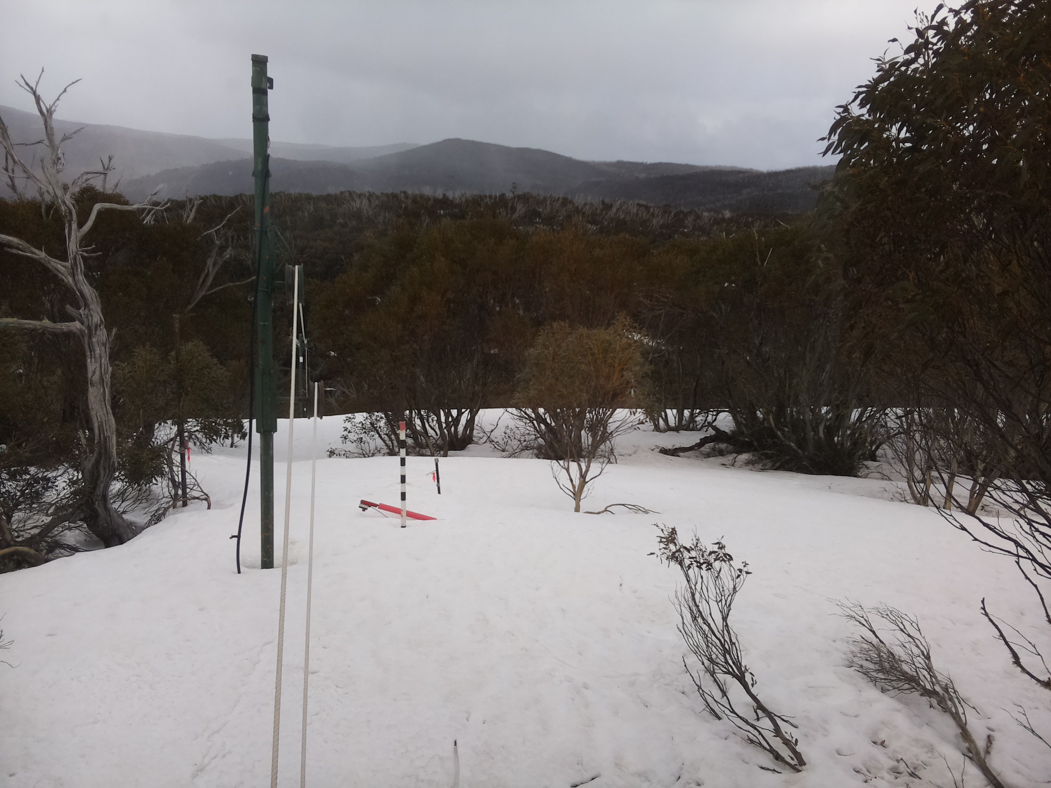 Bogong Web Cam 11:50am Monday 22nd of September 2025