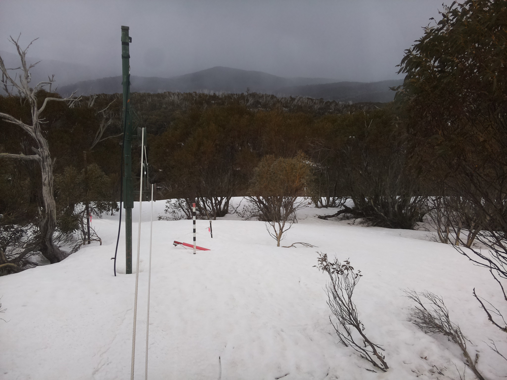 Bogong Web Cam 12:20pm Monday 22nd of September 2025