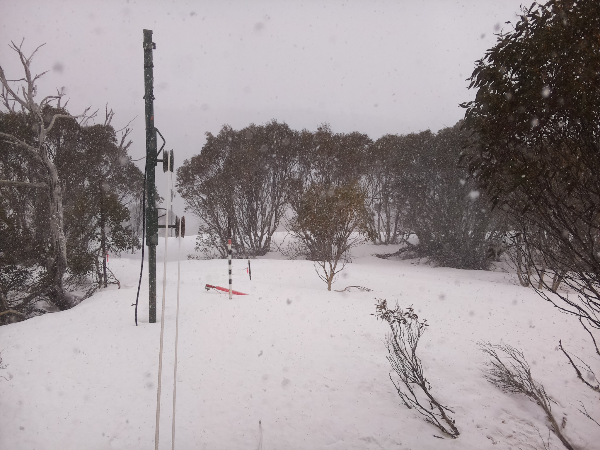 Bogong Web Cam 12:40pm Monday 22nd of September 2025