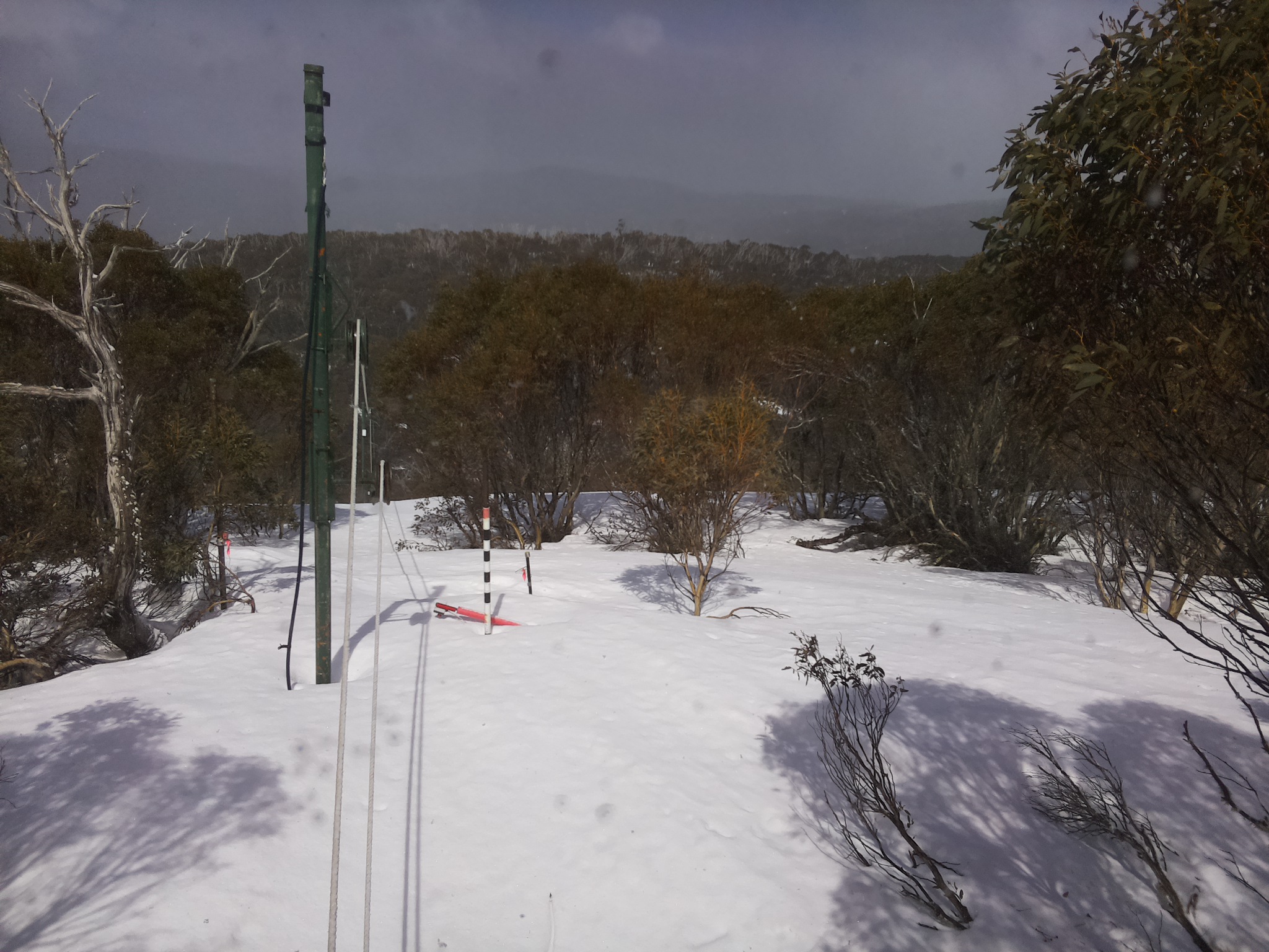 Bogong Web Cam 12:50pm Monday 22nd of September 2025