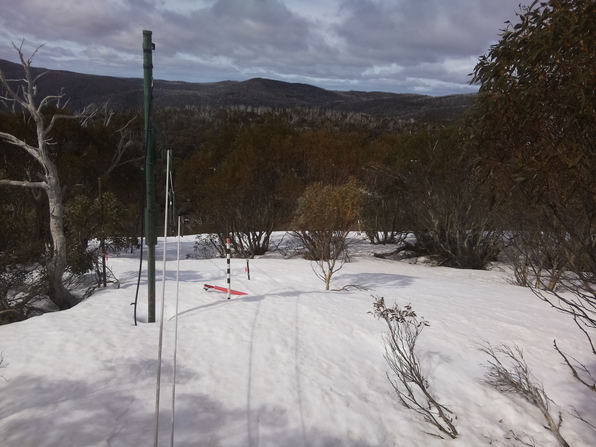 Bogong Web Cam 10:30am Tuesday 23rd of September 2025