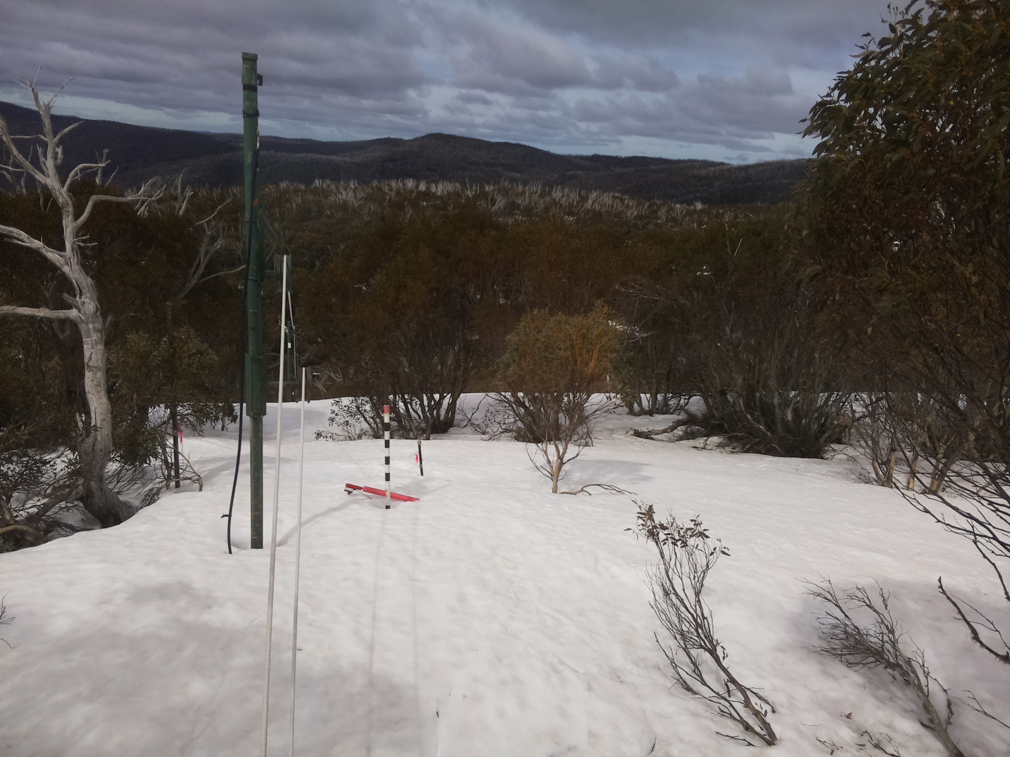 Bogong Web Cam 11:40am Tuesday 23rd of September 2025