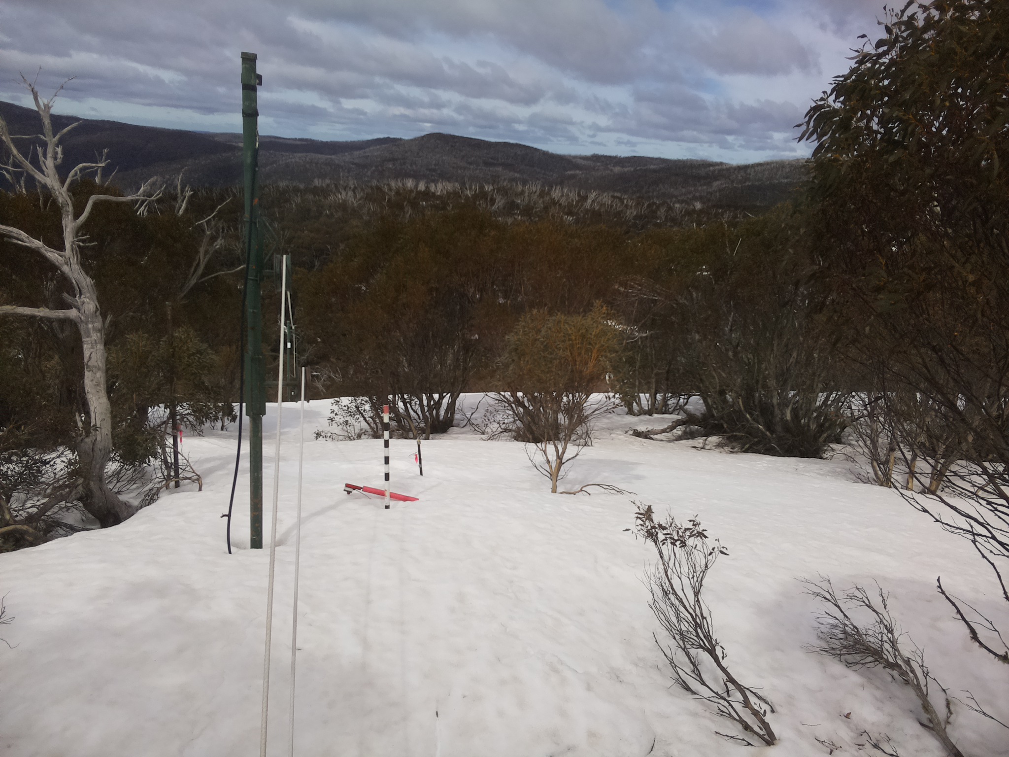 Bogong Web Cam 11:50am Tuesday 23rd of September 2025