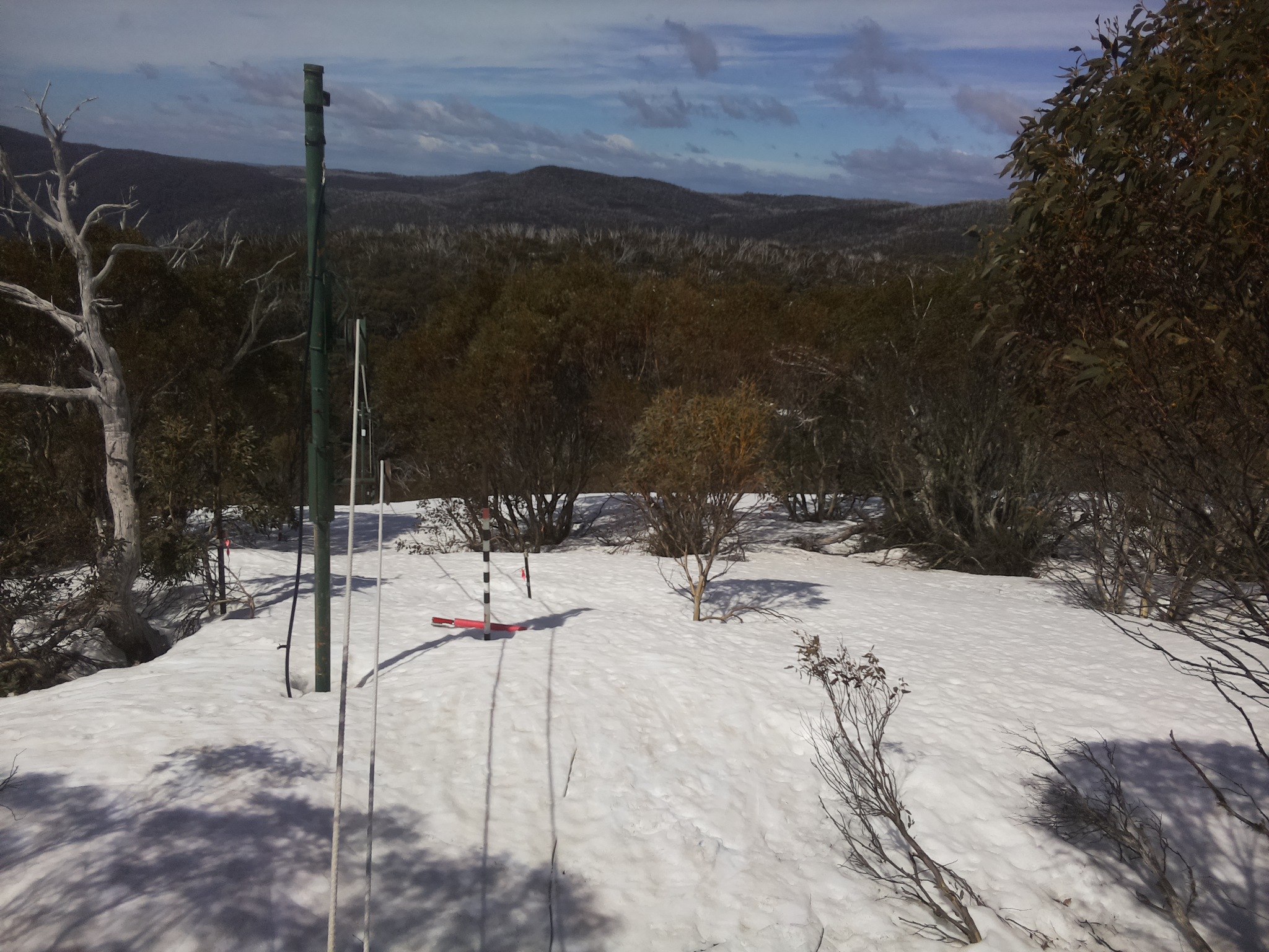 Bogong Web Cam 11:20am Wednesday 24th of September 2025
