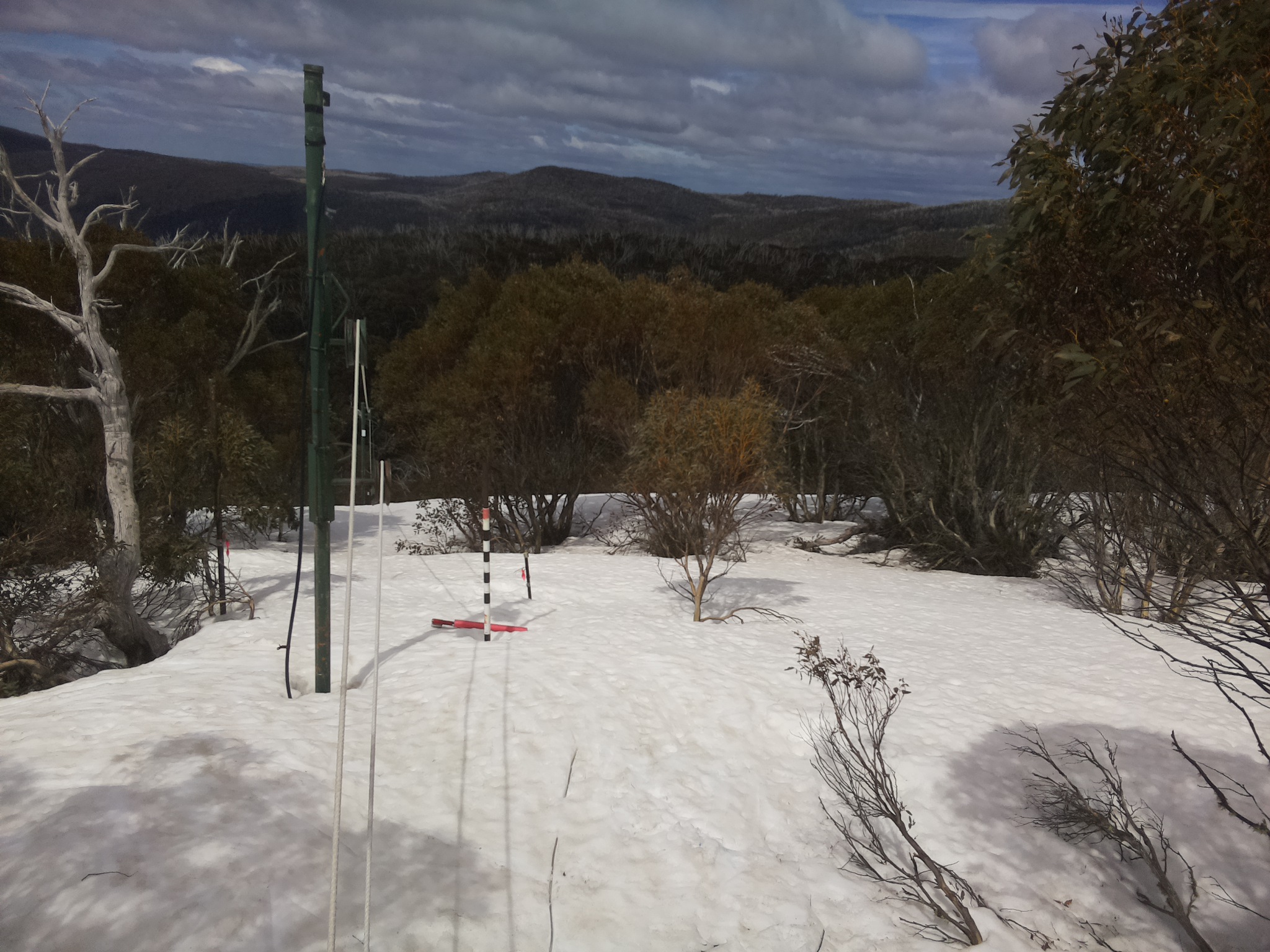 Bogong Web Cam 11:50am Wednesday 24th of September 2025