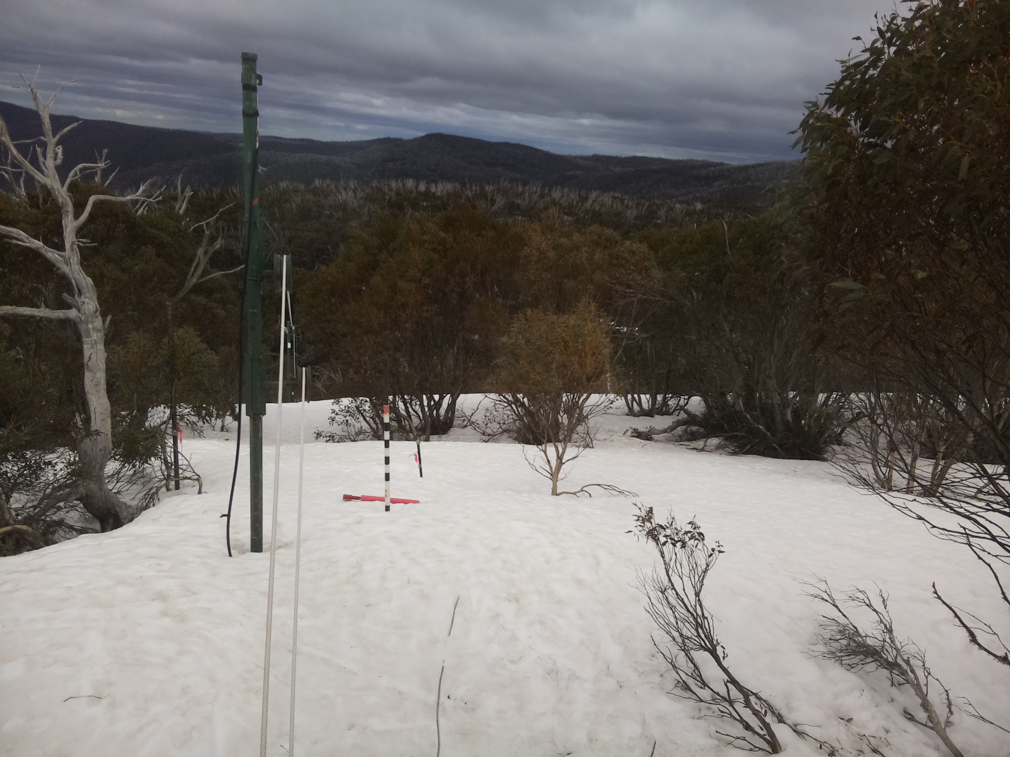 Bogong Web Cam 12:40pm Wednesday 24th of September 2025