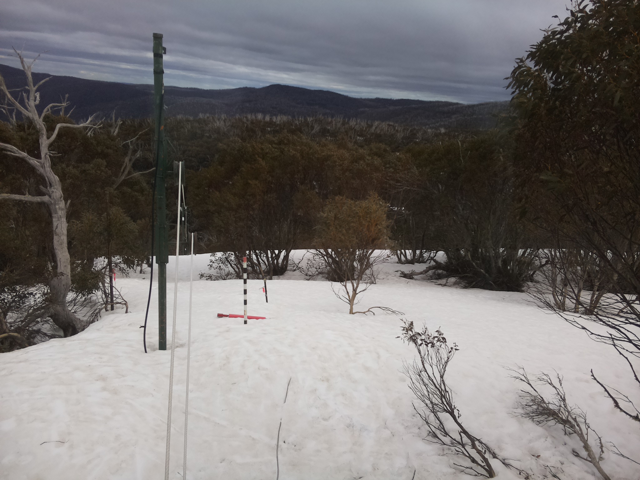Bogong Web Cam 12:50pm Wednesday 24th of September 2025