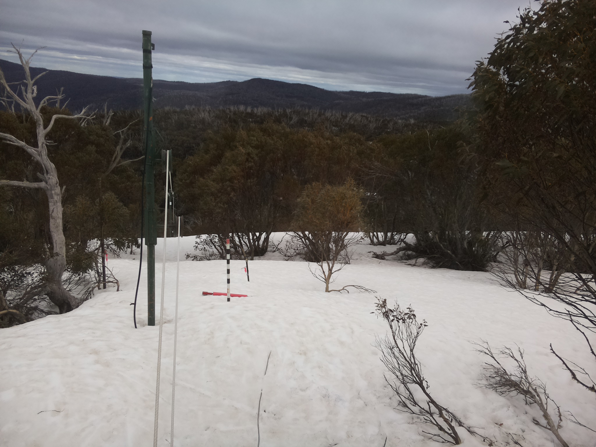 Bogong Web Cam 1:00pm Wednesday 24th of September 2025