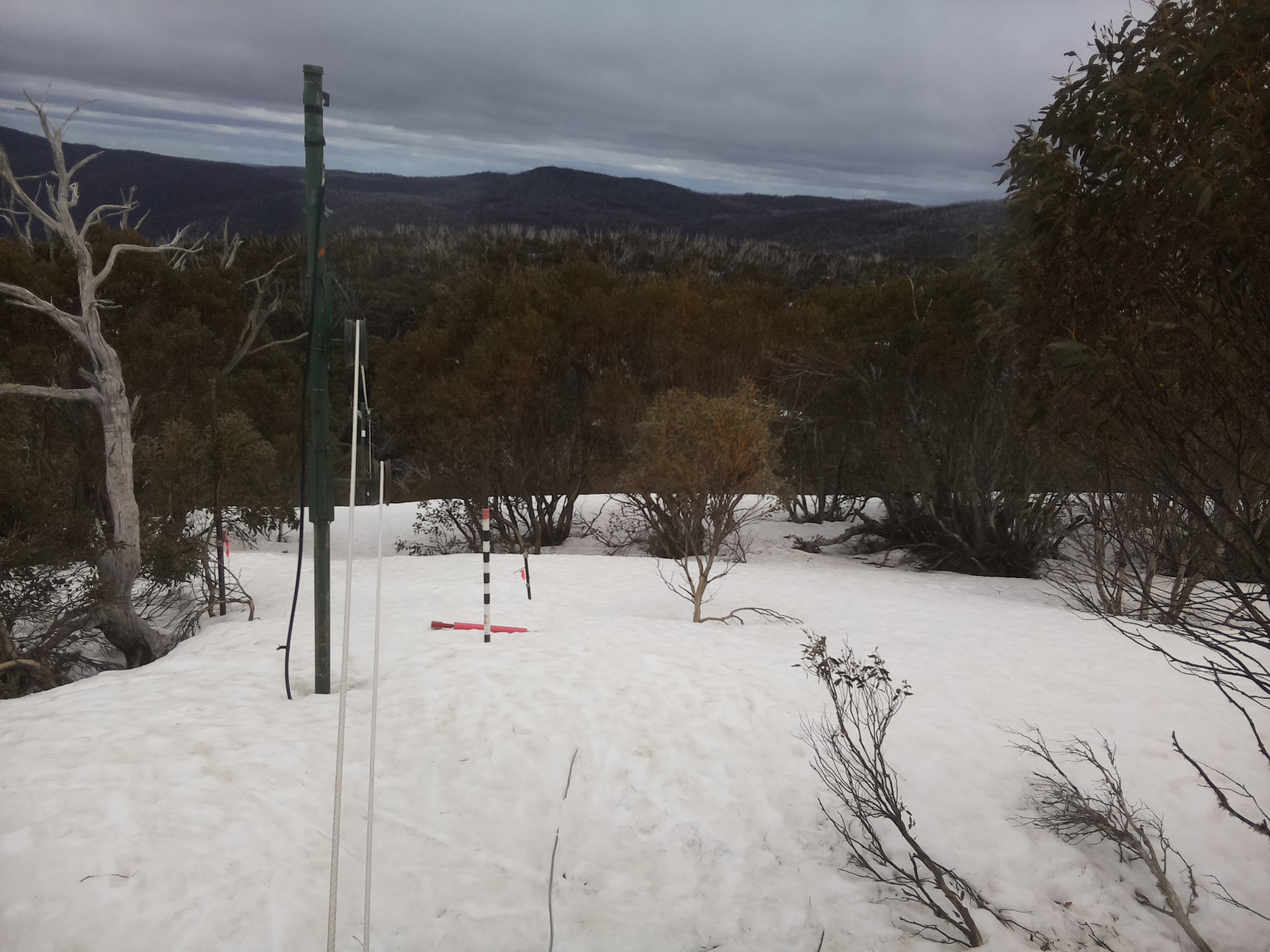 Bogong Web Cam 1:10pm Wednesday 24th of September 2025