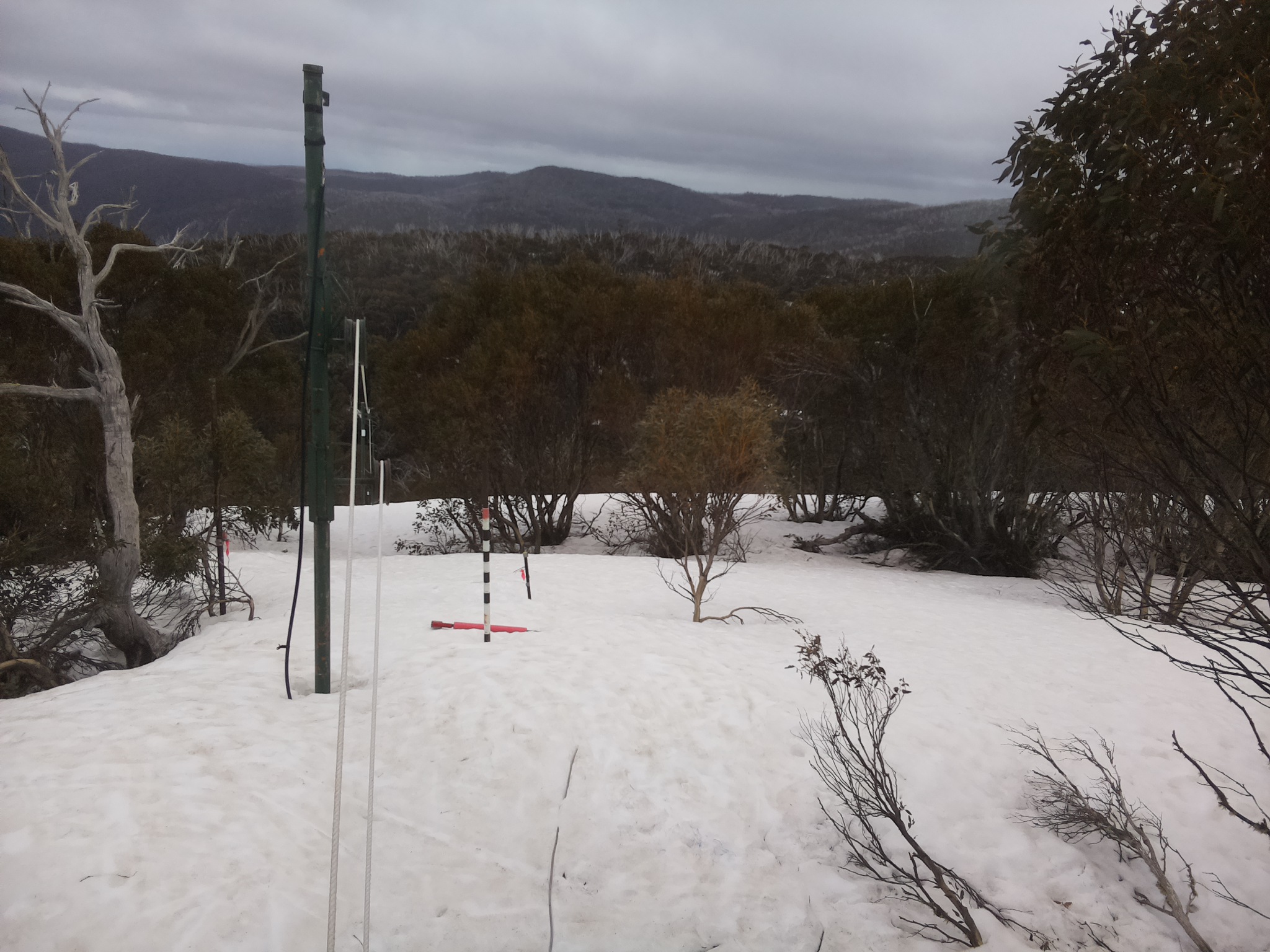 Bogong Web Cam 2:00pm Wednesday 24th of September 2025