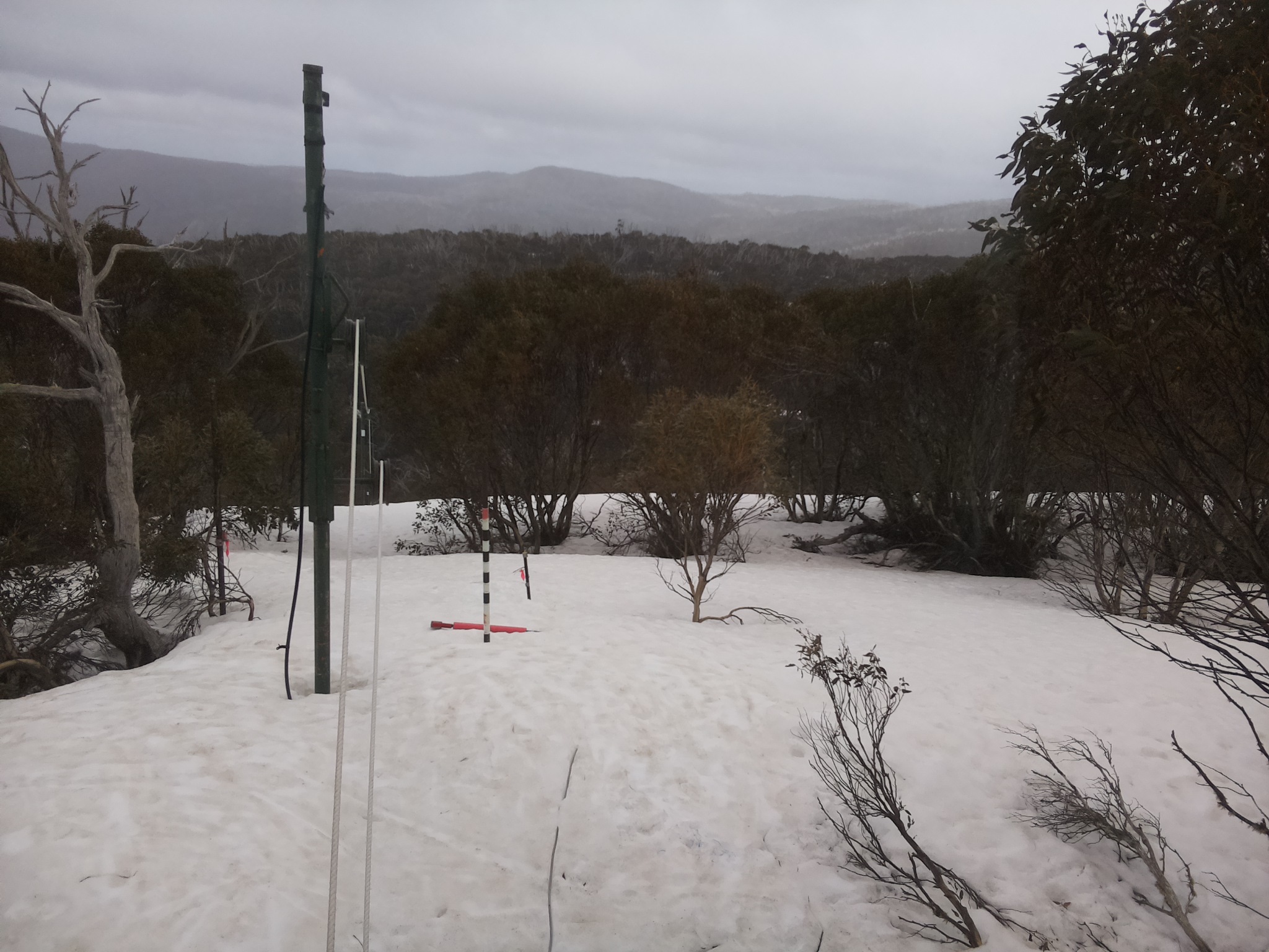 Bogong Web Cam 2:30pm Wednesday 24th of September 2025