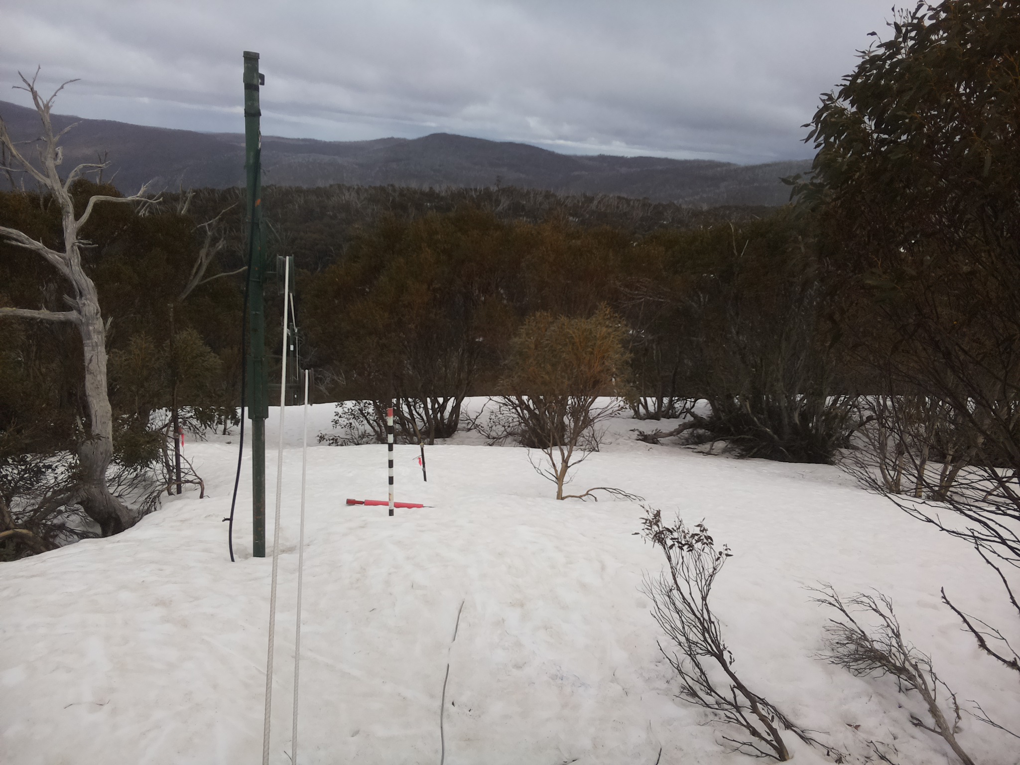 Bogong Web Cam 2:50pm Wednesday 24th of September 2025