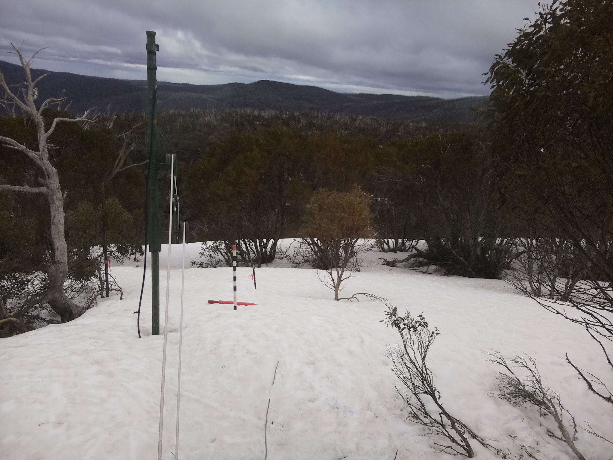 Bogong Web Cam 3:00pm Wednesday 24th of September 2025