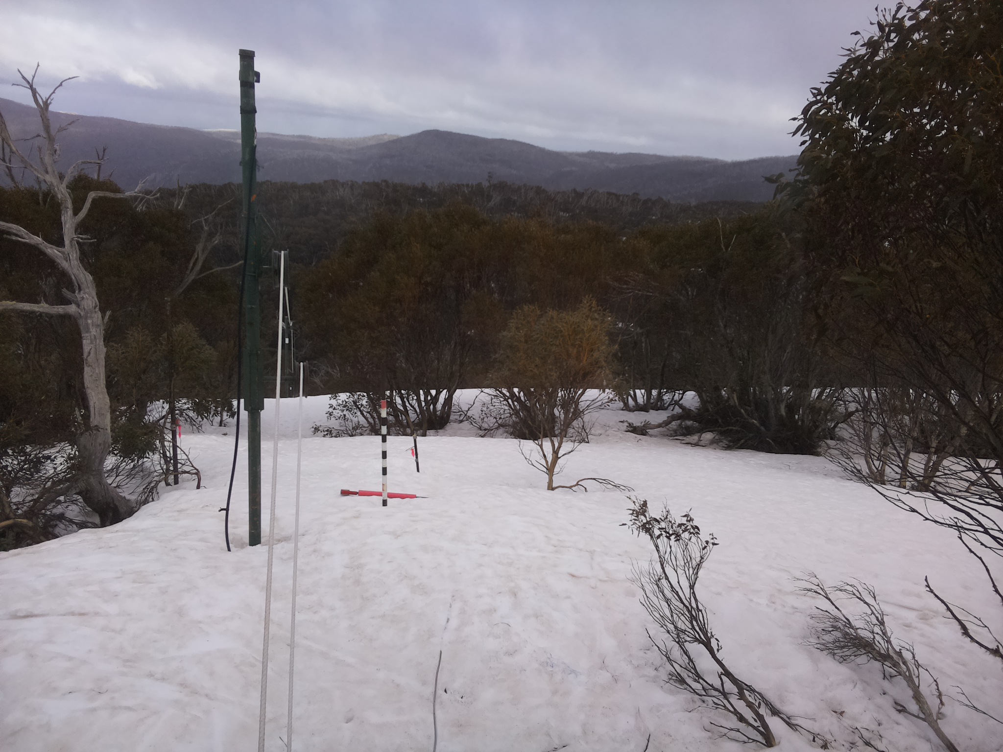 Bogong Web Cam 4:00pm Wednesday 24th of September 2025