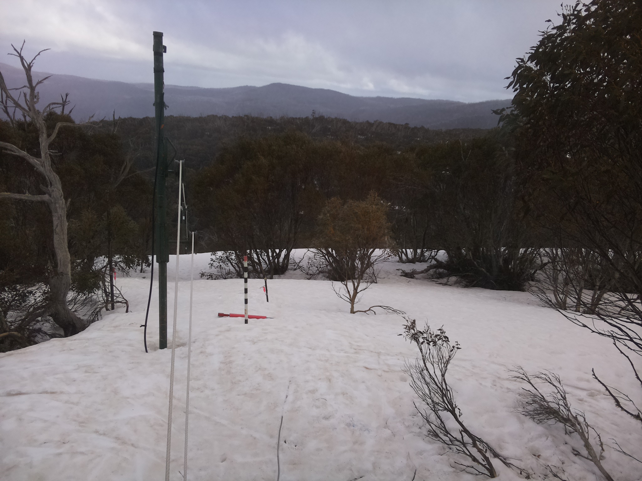 Bogong Web Cam 4:10pm Wednesday 24th of September 2025