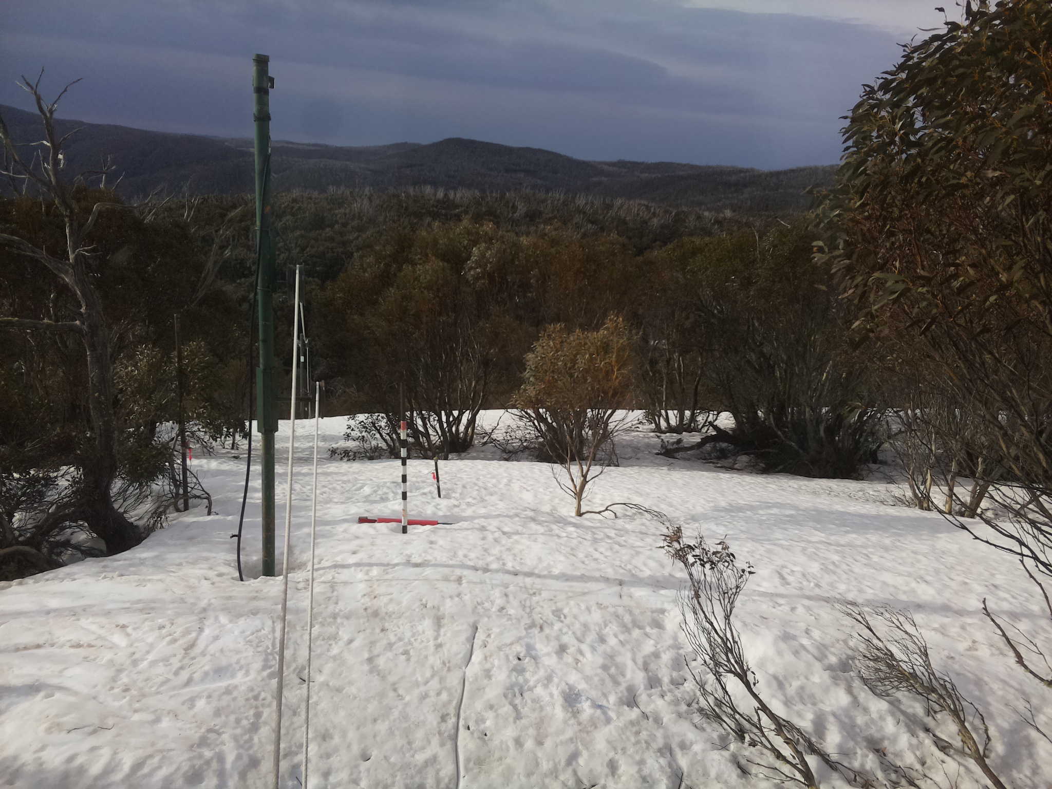 Bogong Web Cam 8:00am Thursday 25th of September 2025