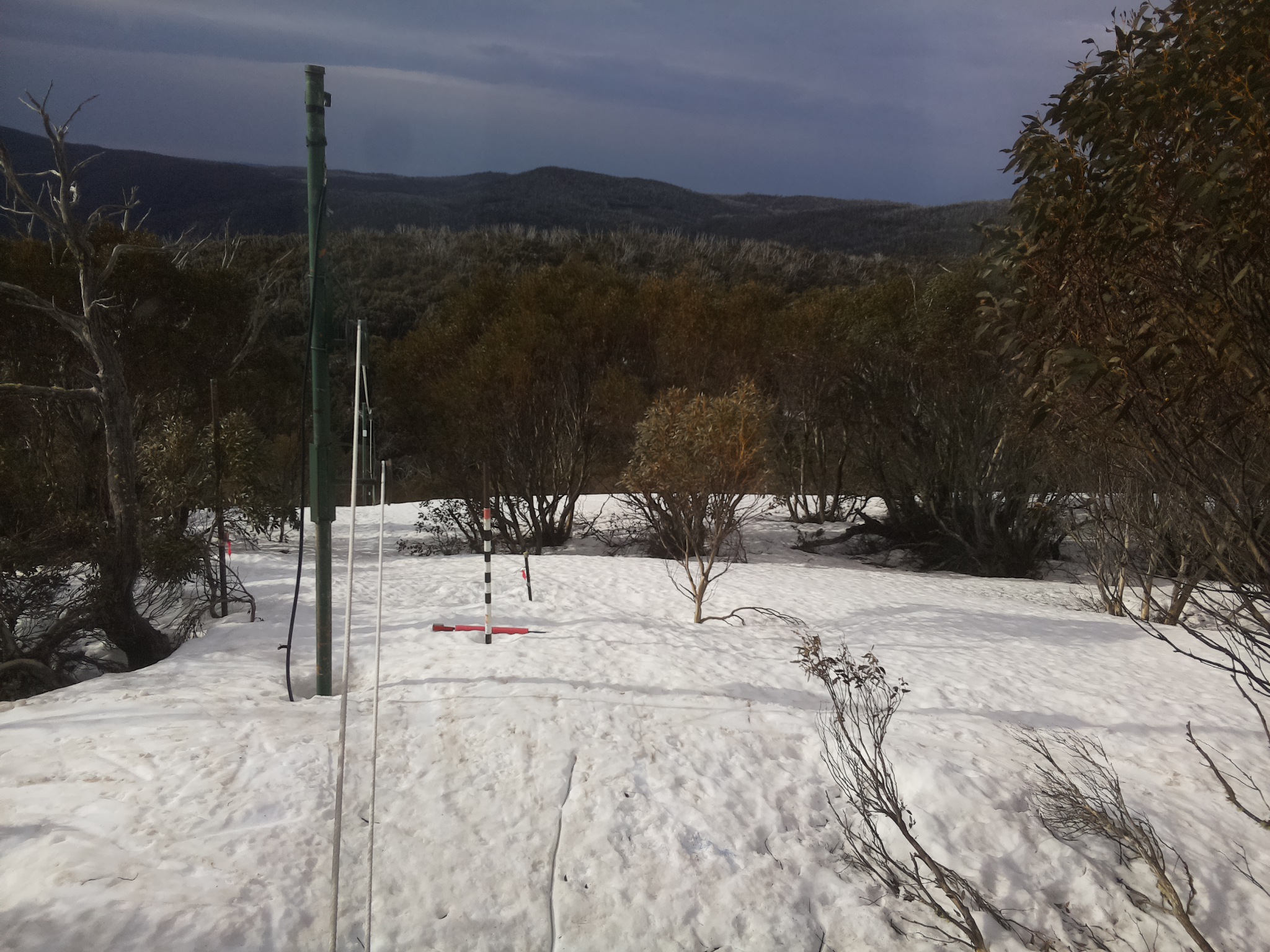 Bogong Web Cam 8:10am Thursday 25th of September 2025
