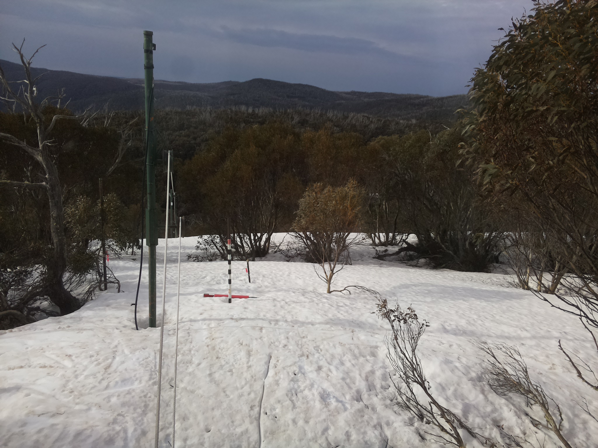 Bogong Web Cam 8:20am Thursday 25th of September 2025