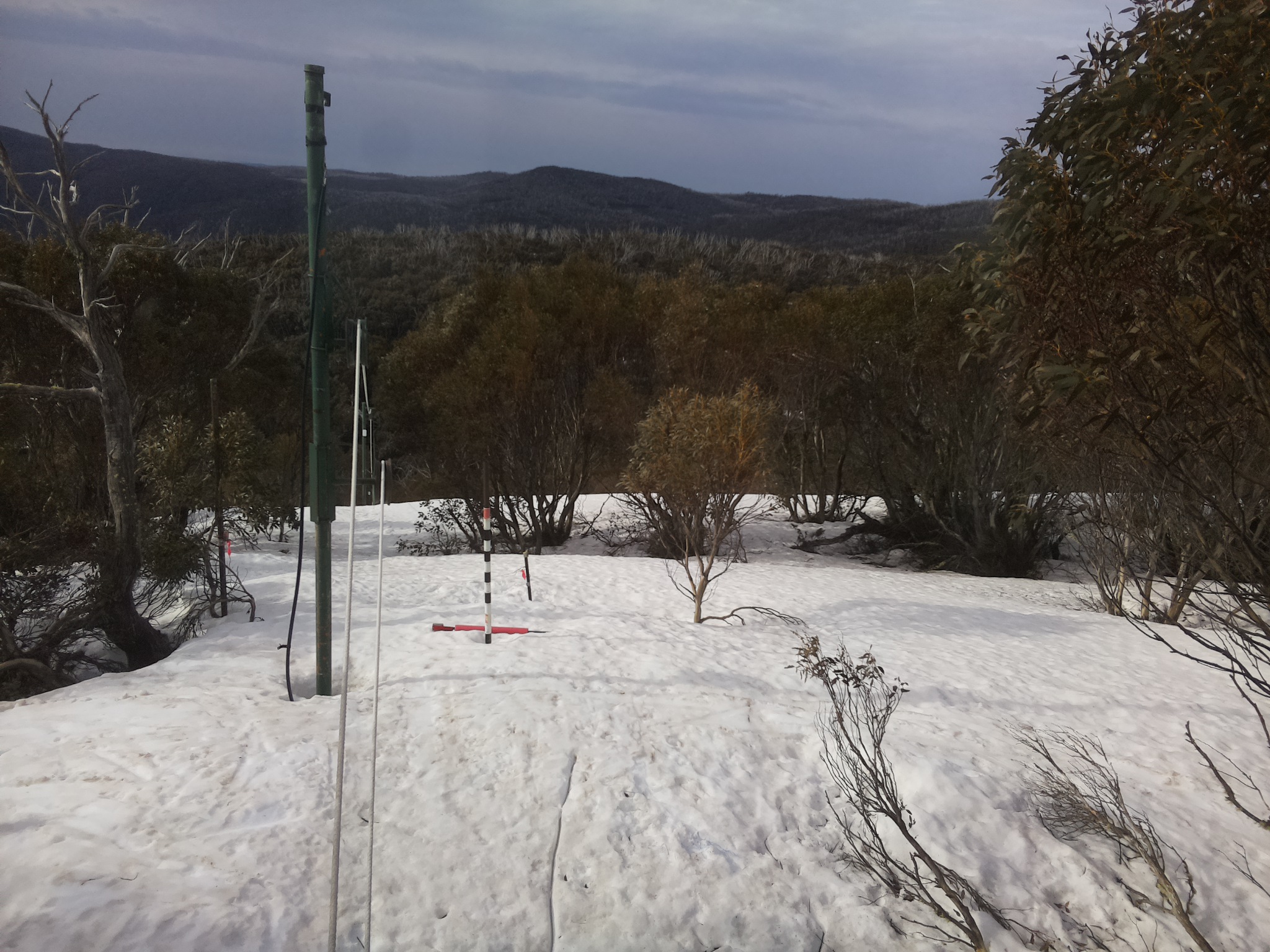Bogong Web Cam 8:30am Thursday 25th of September 2025