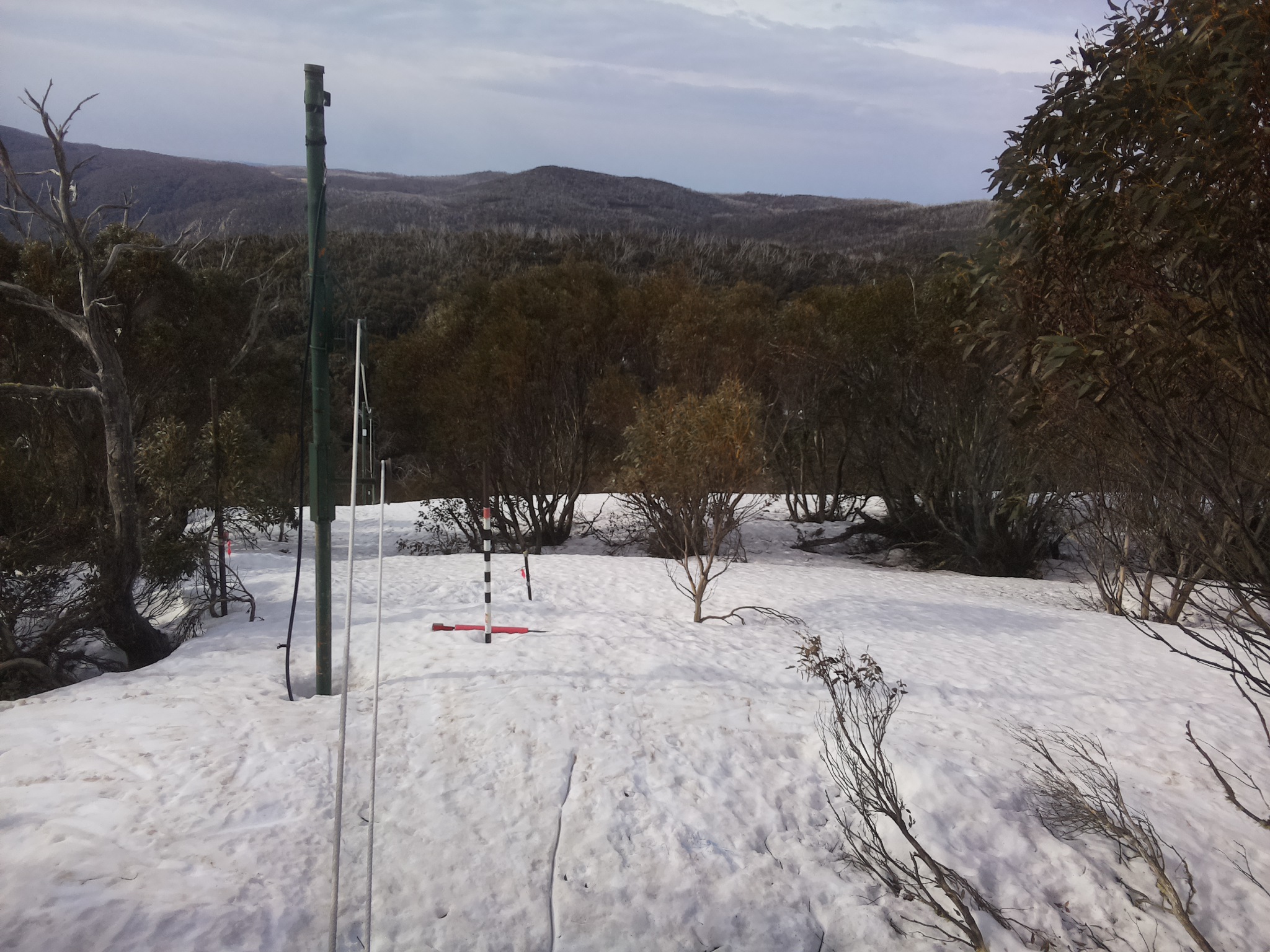 Bogong Web Cam 8:40am Thursday 25th of September 2025