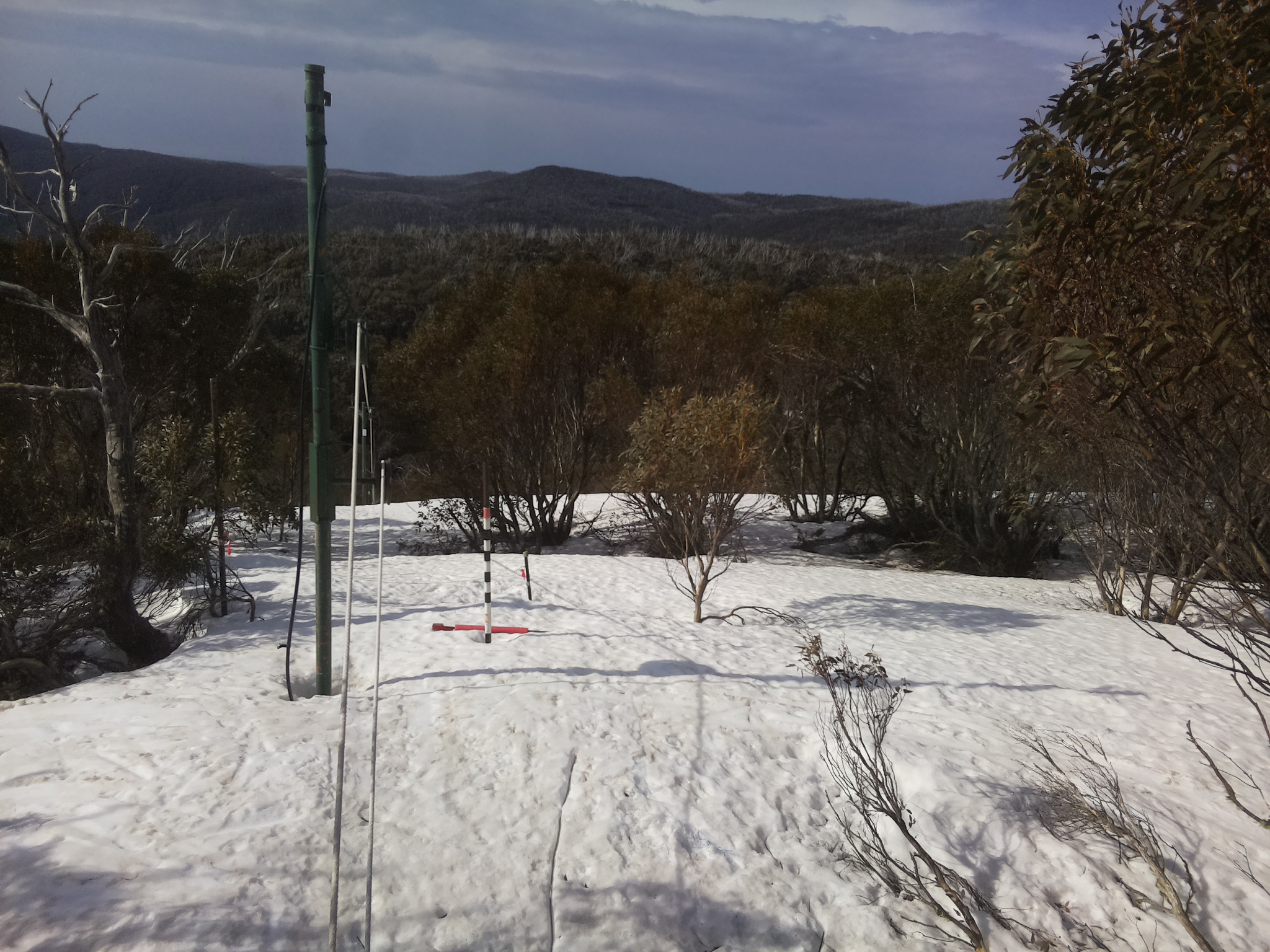 Bogong Web Cam 8:50am Thursday 25th of September 2025