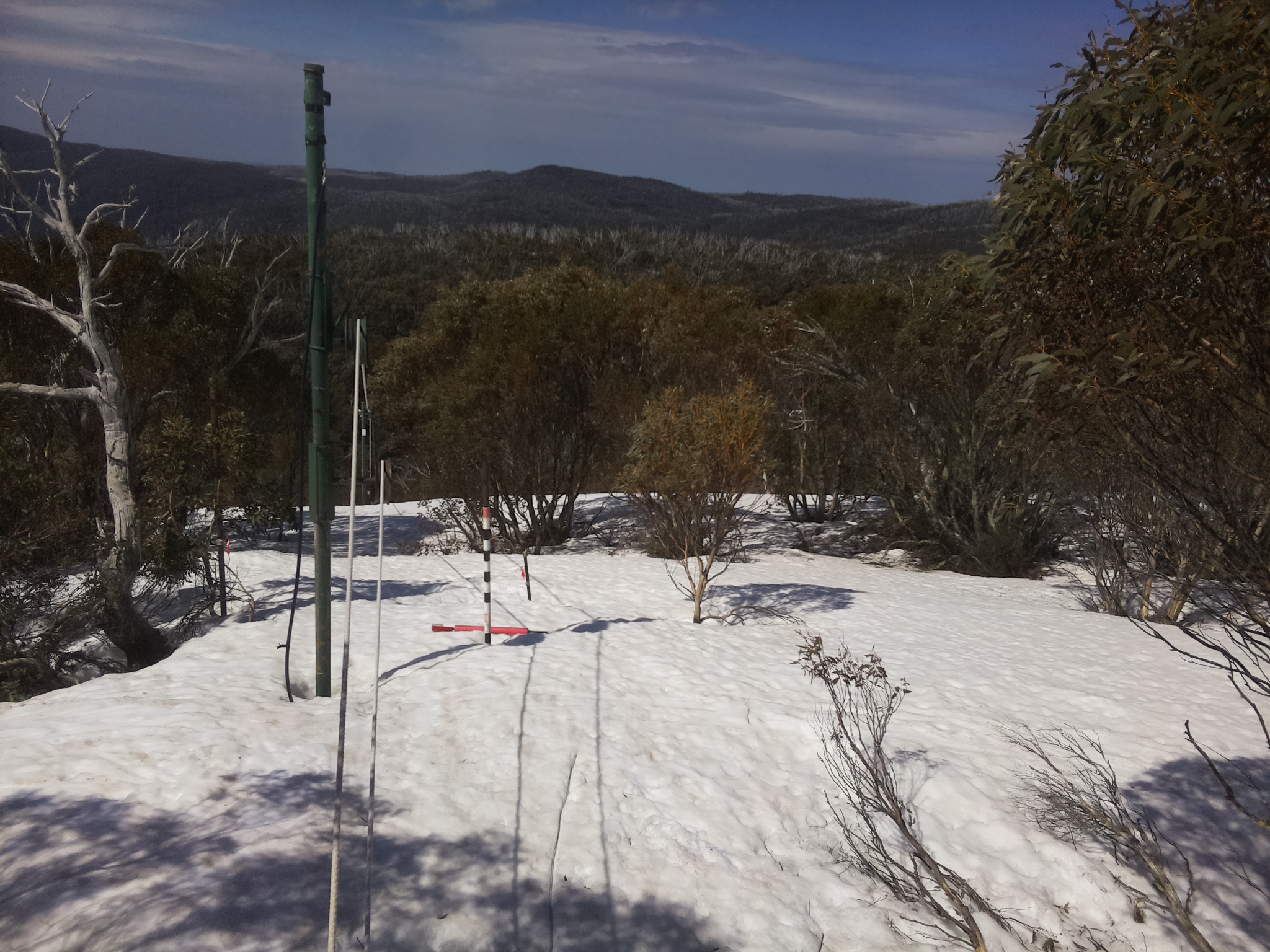 Bogong Web Cam 10:50am Thursday 25th of September 2025