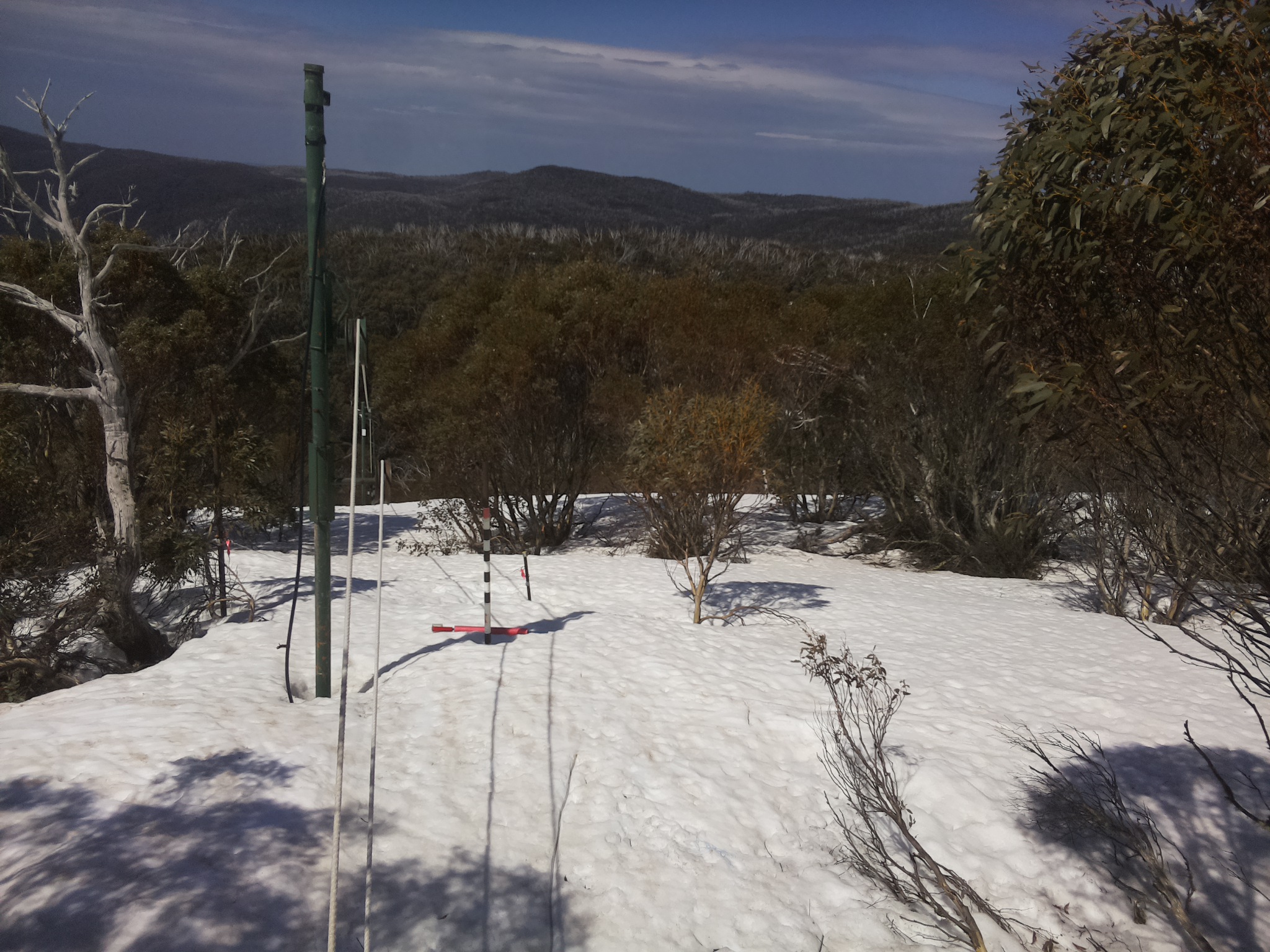 Bogong Web Cam 11:20am Thursday 25th of September 2025