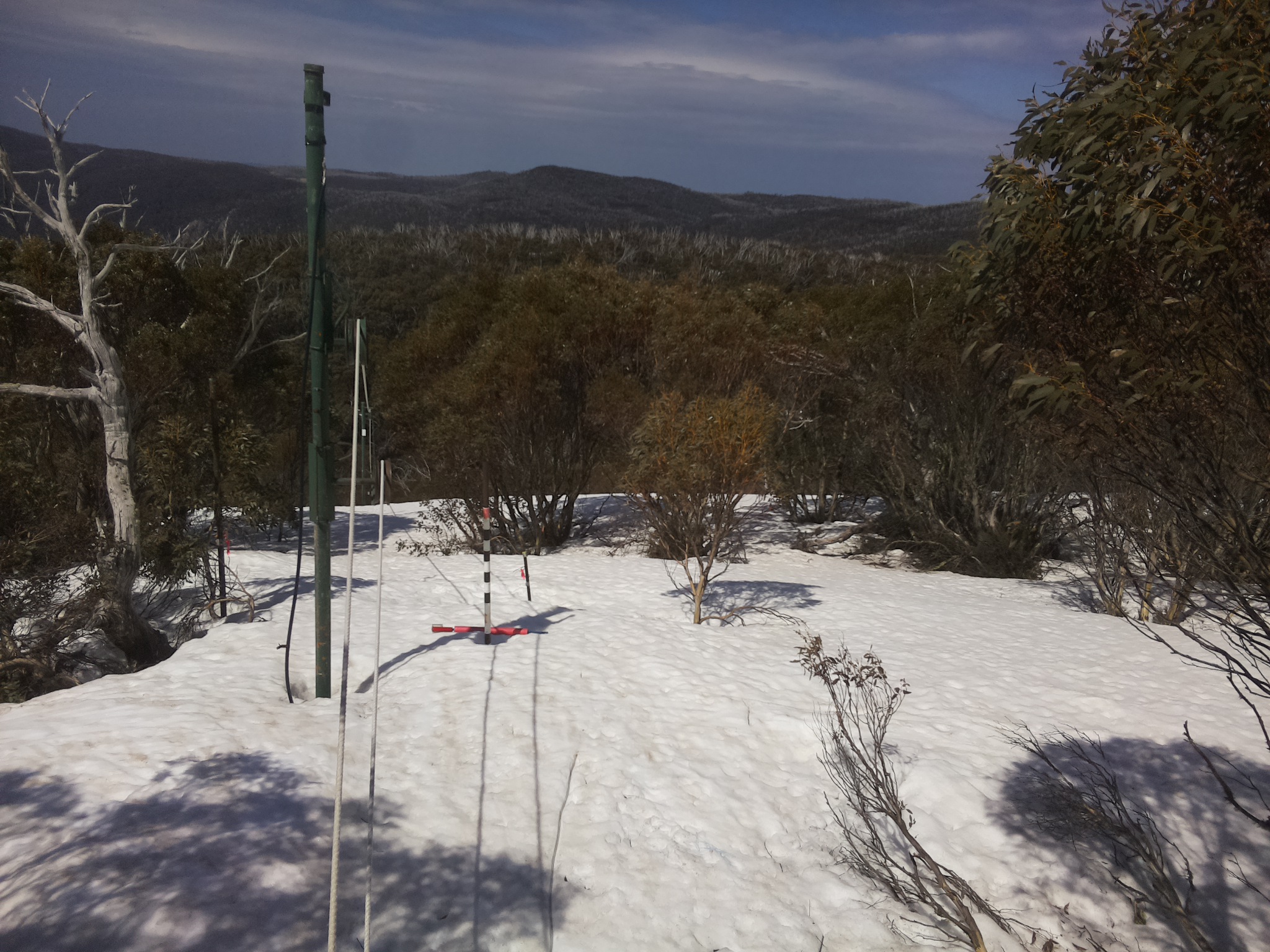 Bogong Web Cam 11:30am Thursday 25th of September 2025